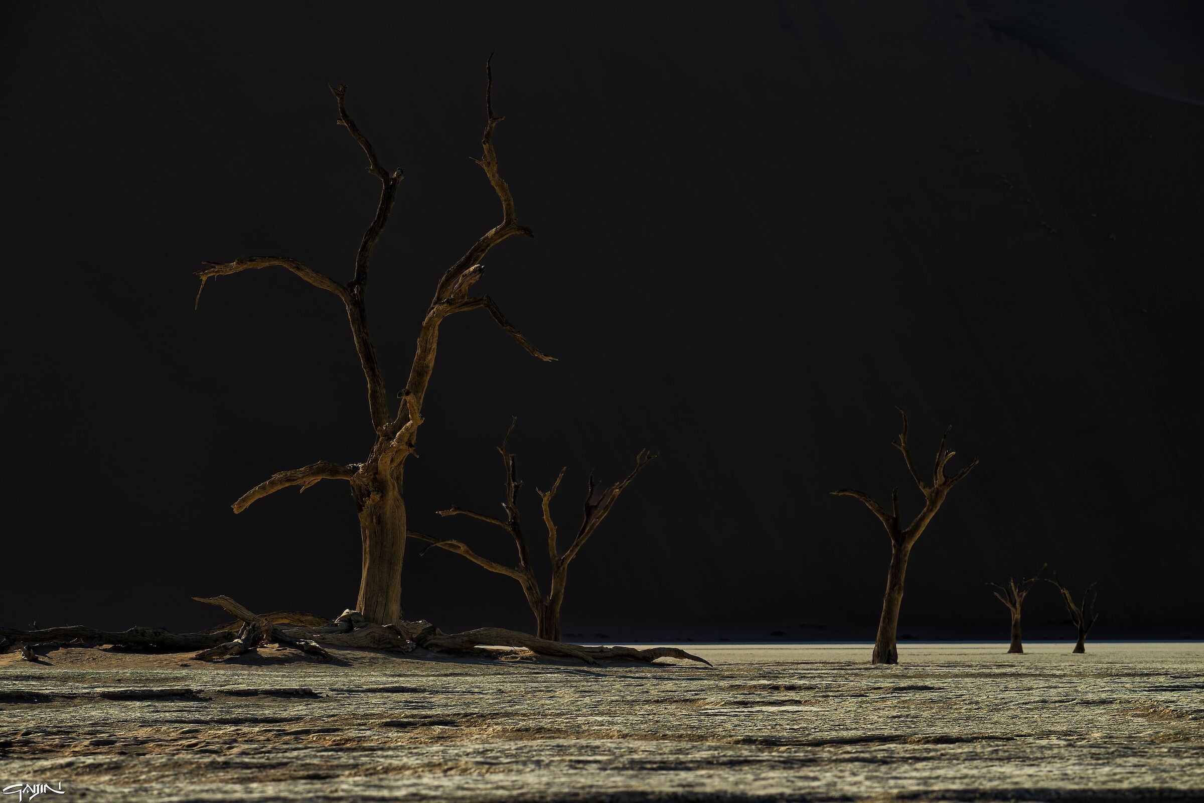 Deadvlei