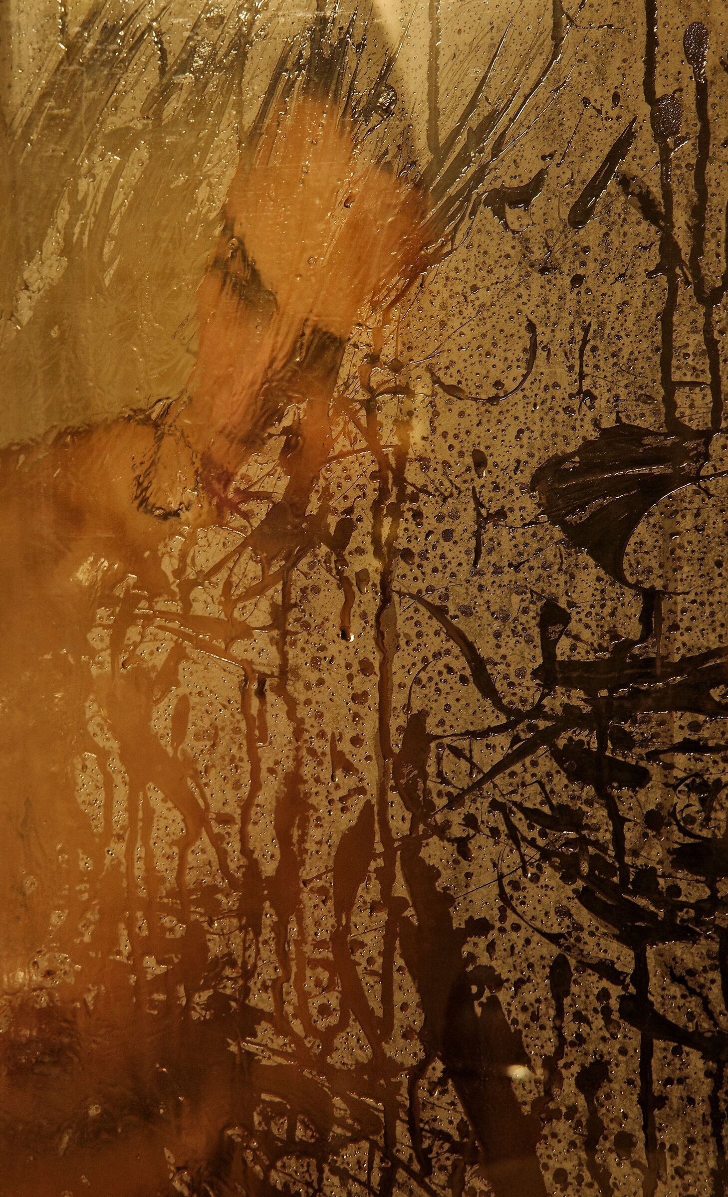 In your eyes I abandon myself and glide down