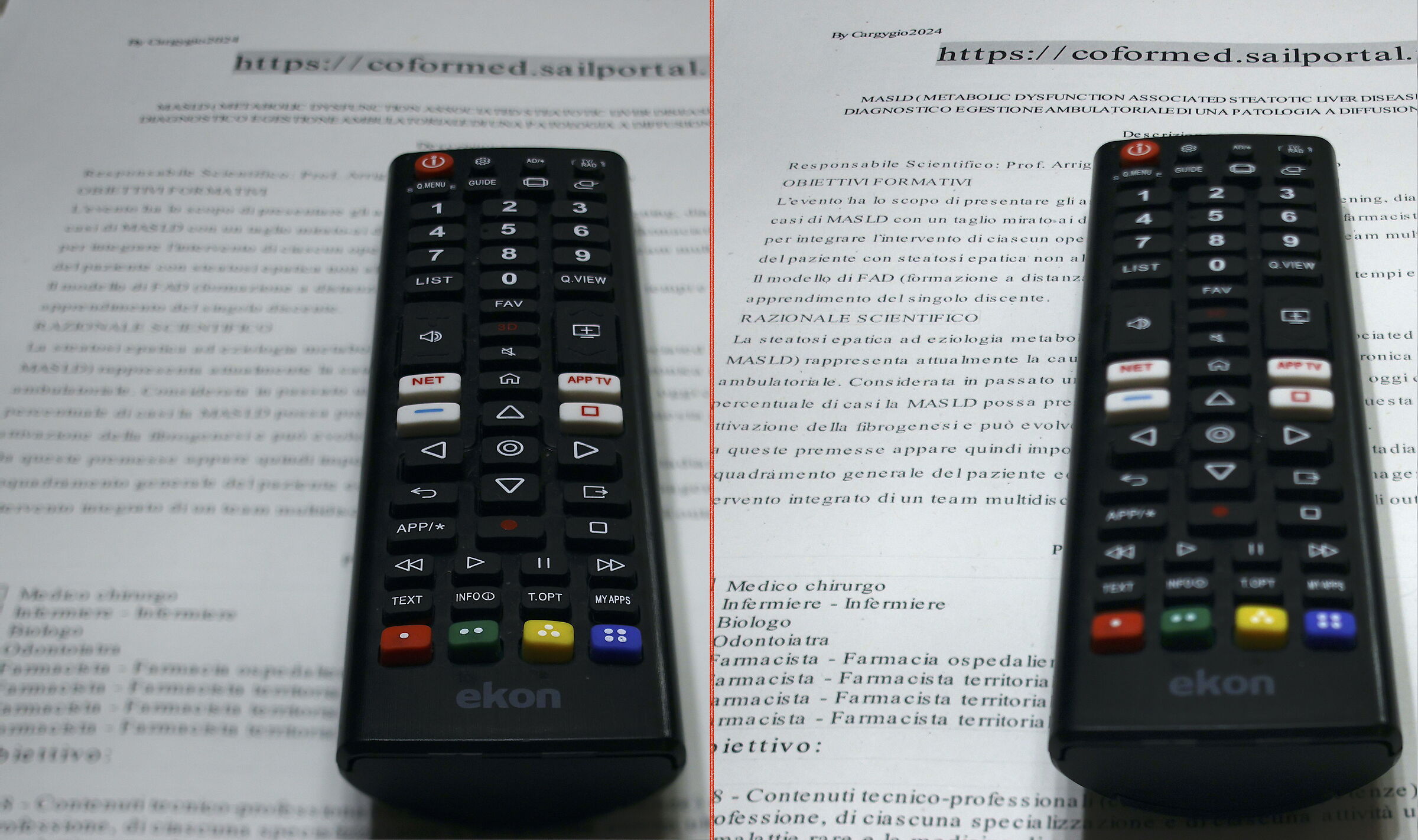 com'è fatta?