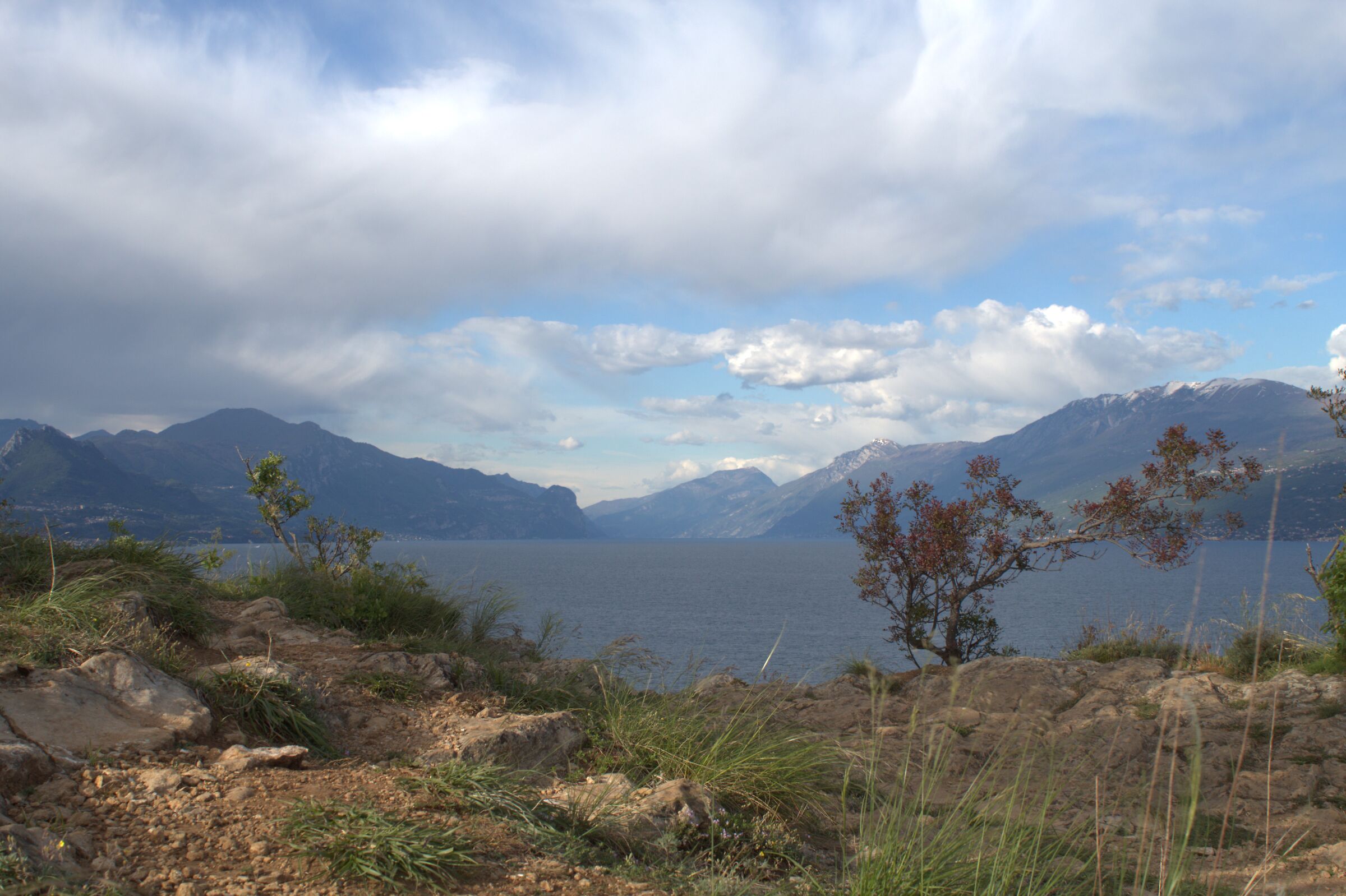 L.di garda