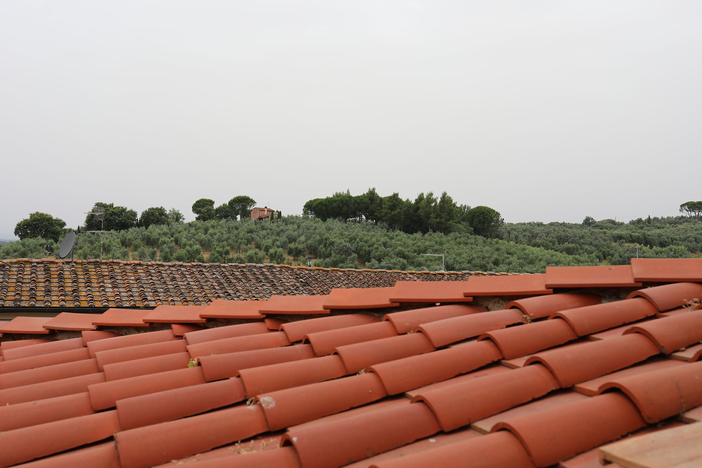 Canon 5 D IV, 35 F. 2 IS USM