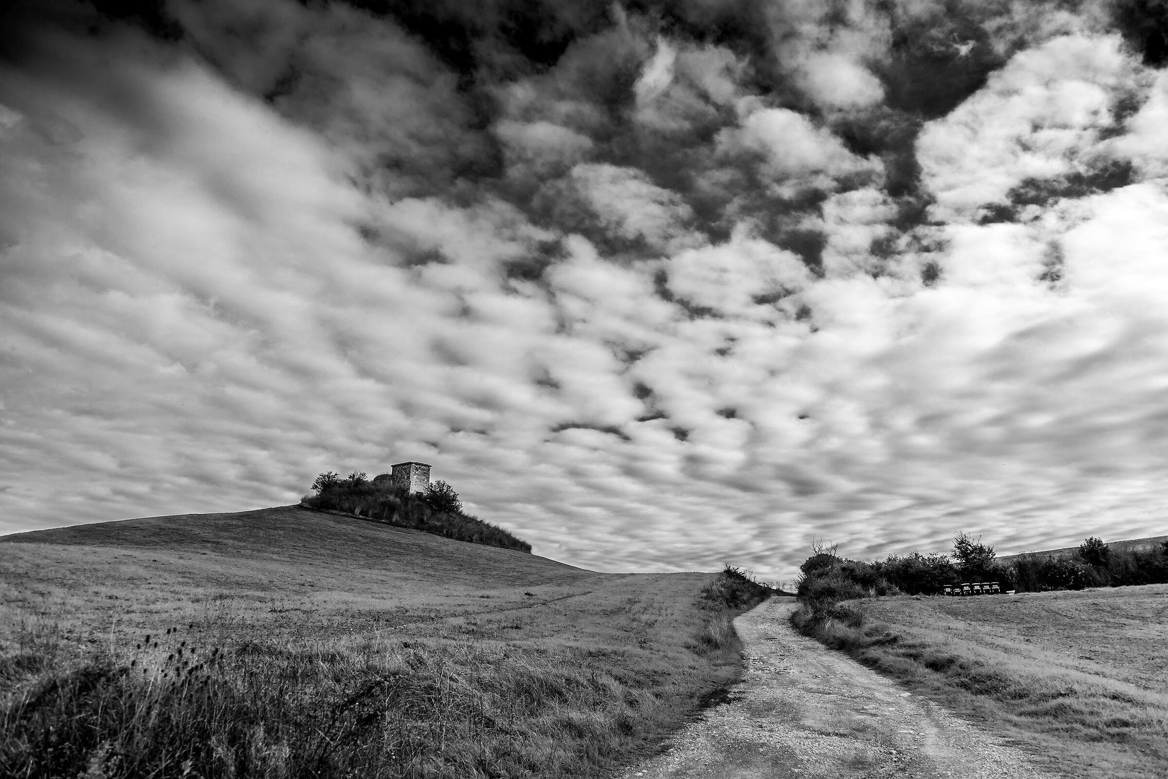 Tuscan landscape BN