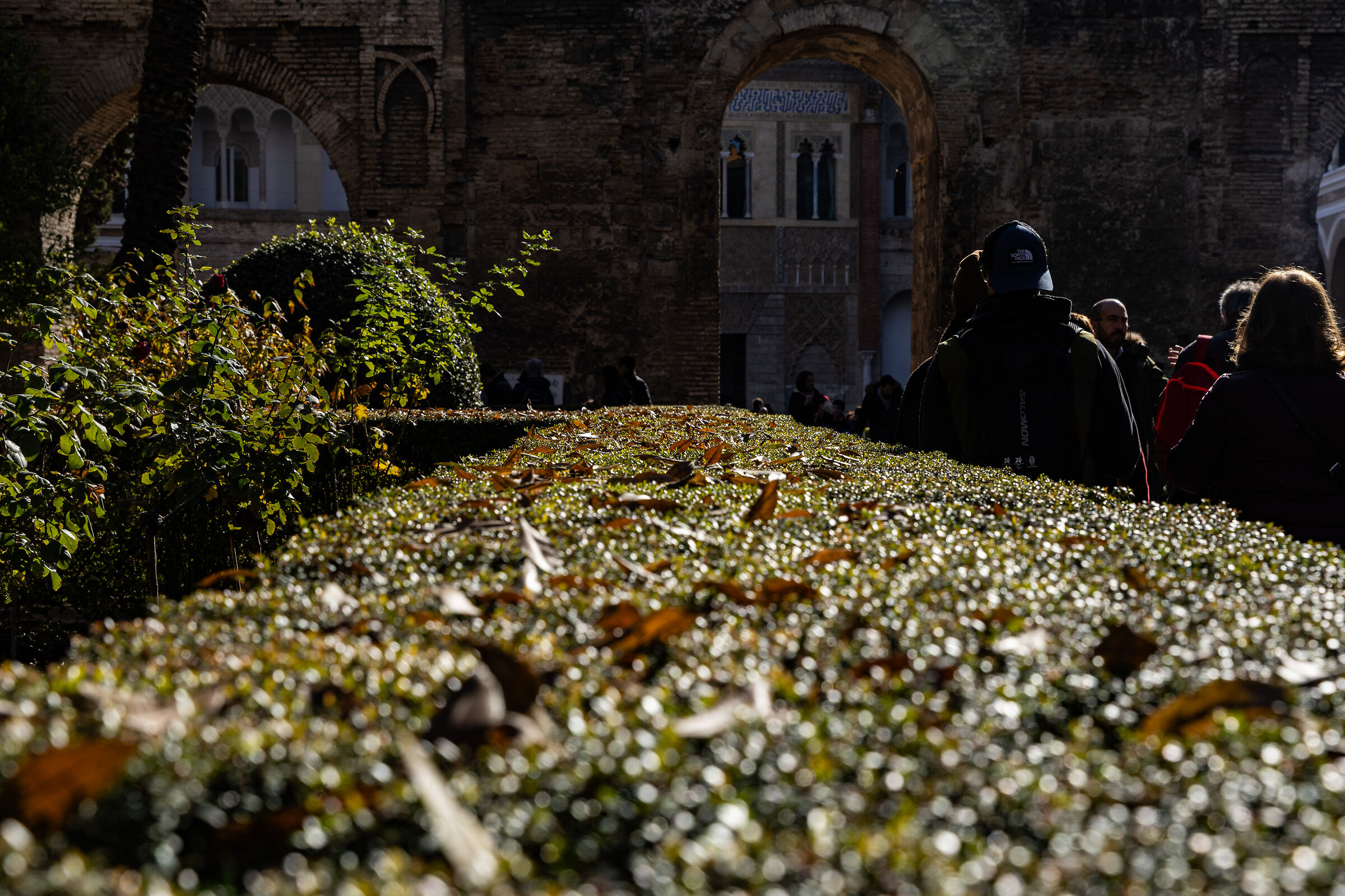 Real Alcazar of Seville