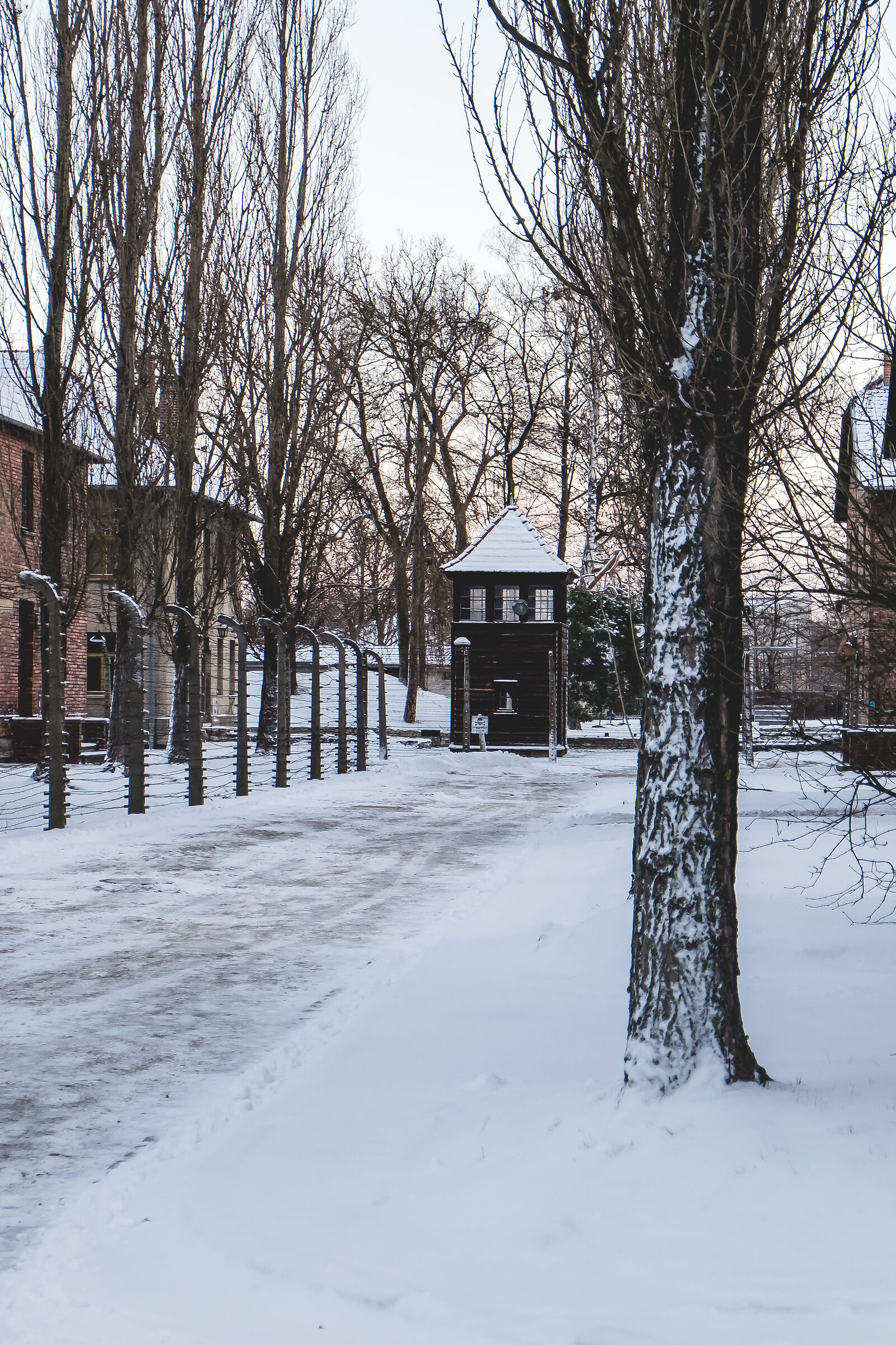 Snow silence