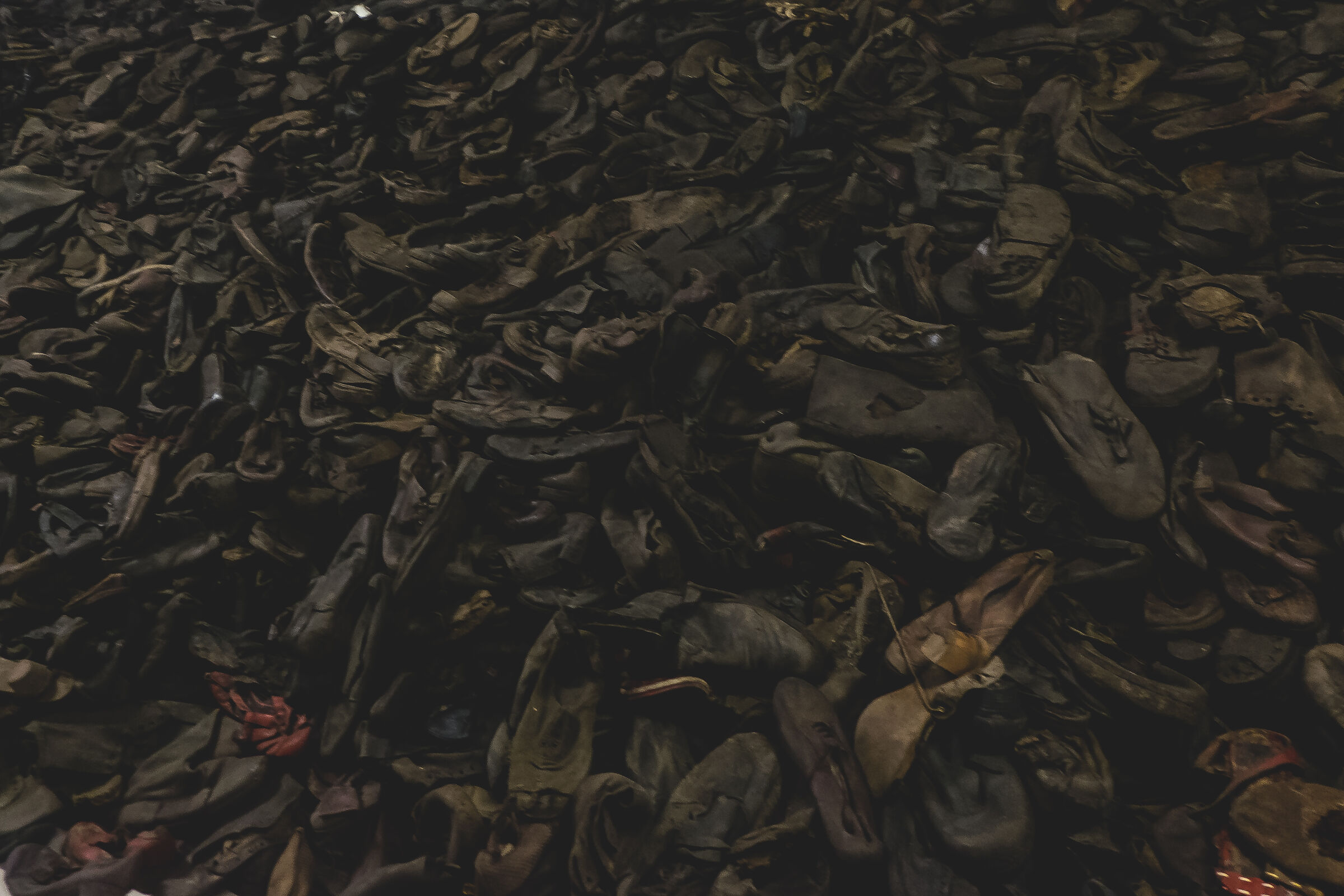 Silence of a thousand steps