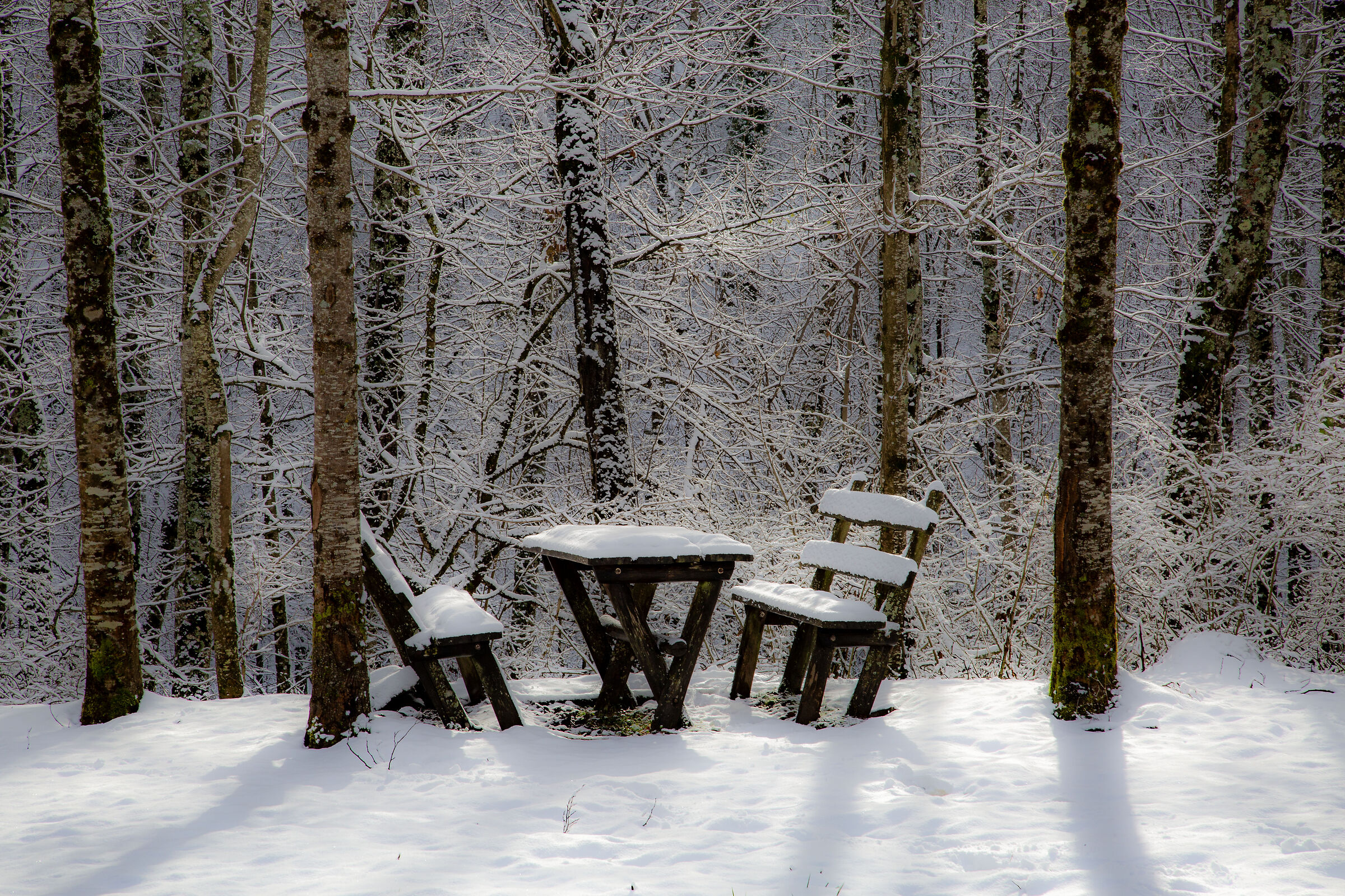 inverno