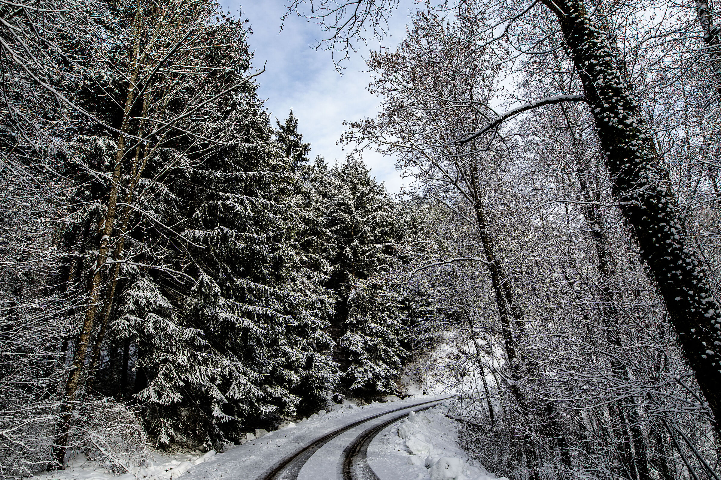 winter