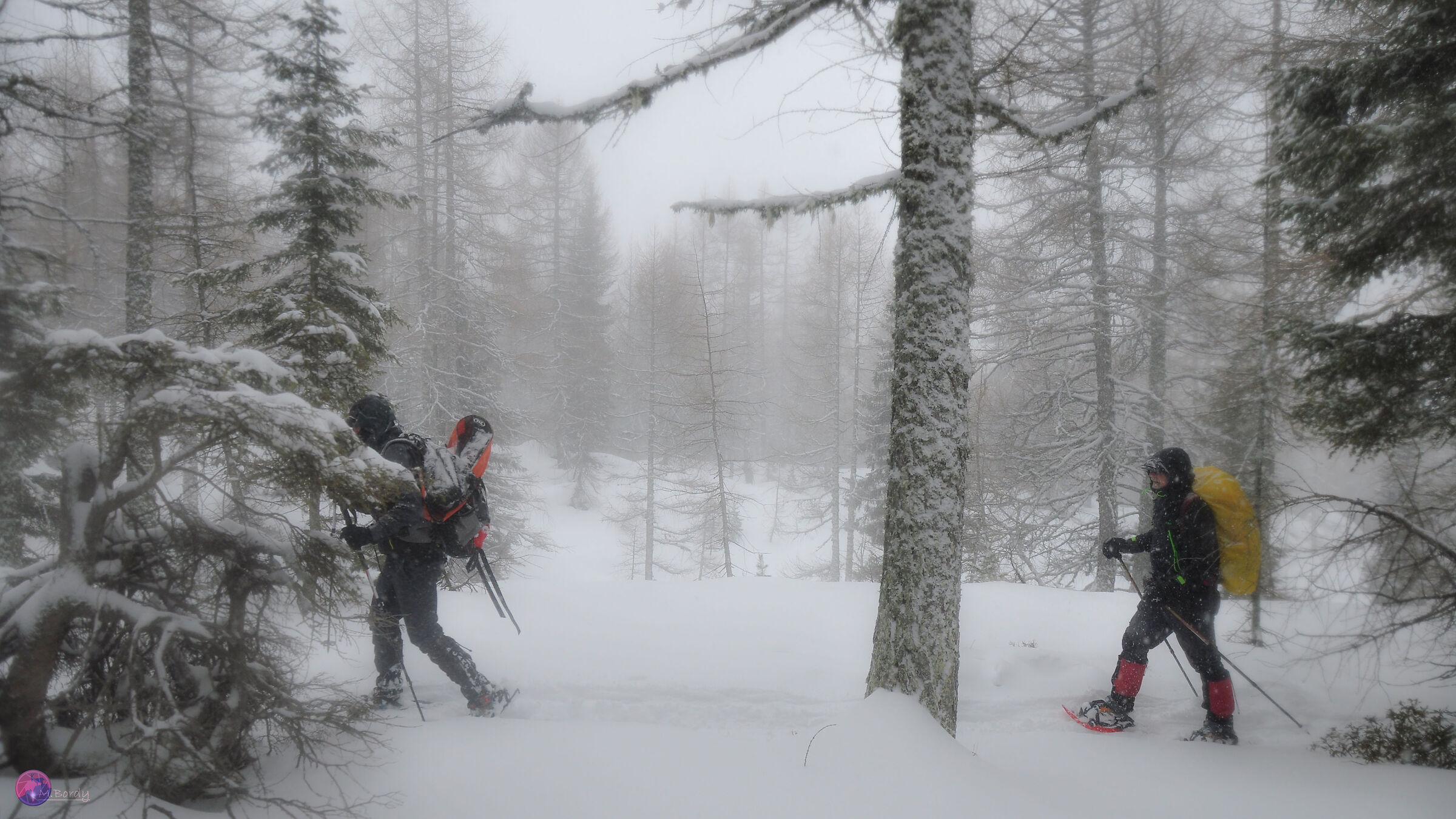 Sotto la neve