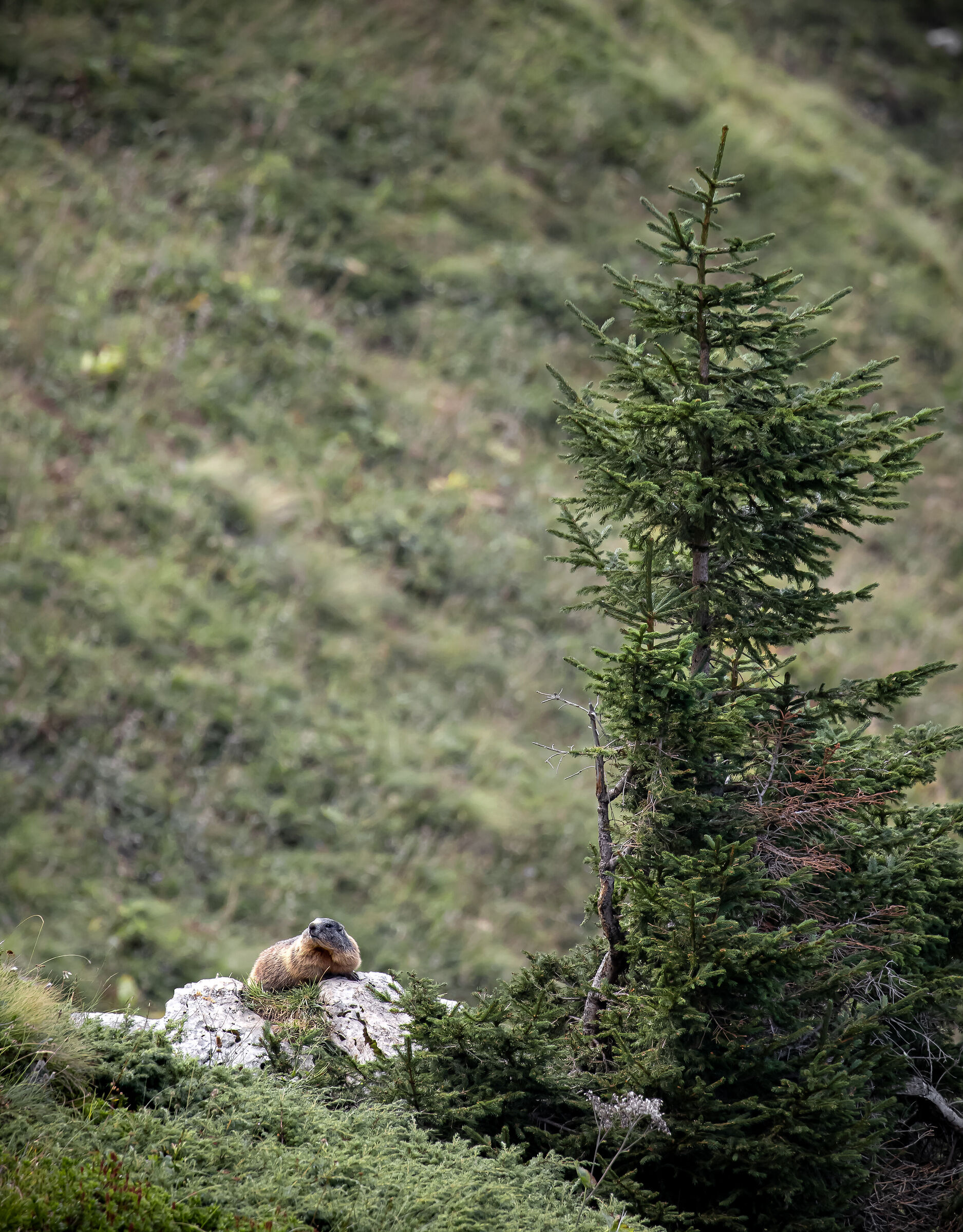 natura è sentirsi a casa propria