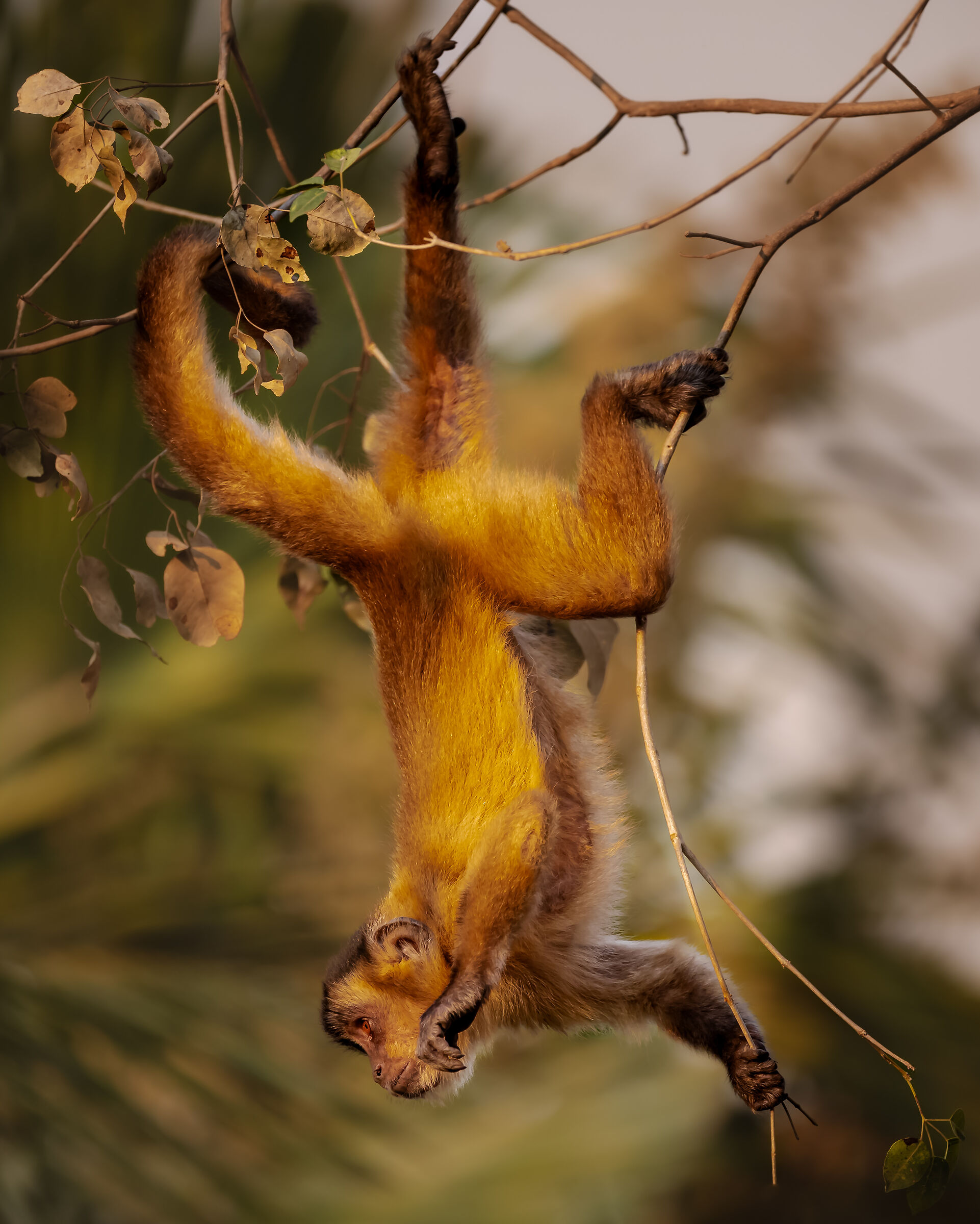 A volte, è sufficiente un cambiamento di prospettiva