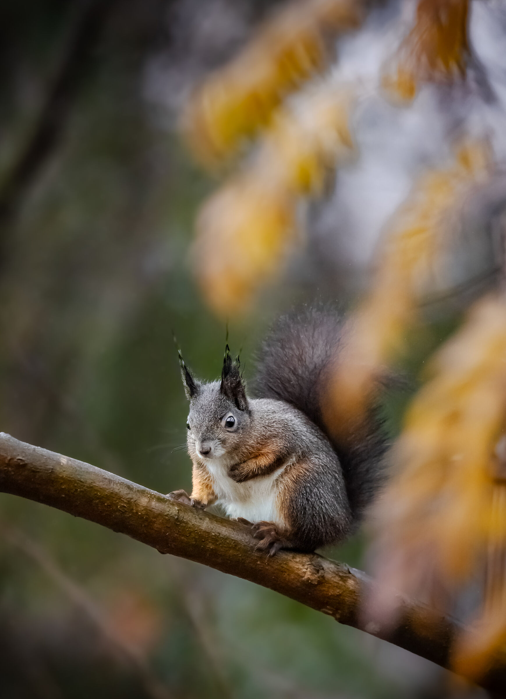 atmosfere autunnali | autumn mood