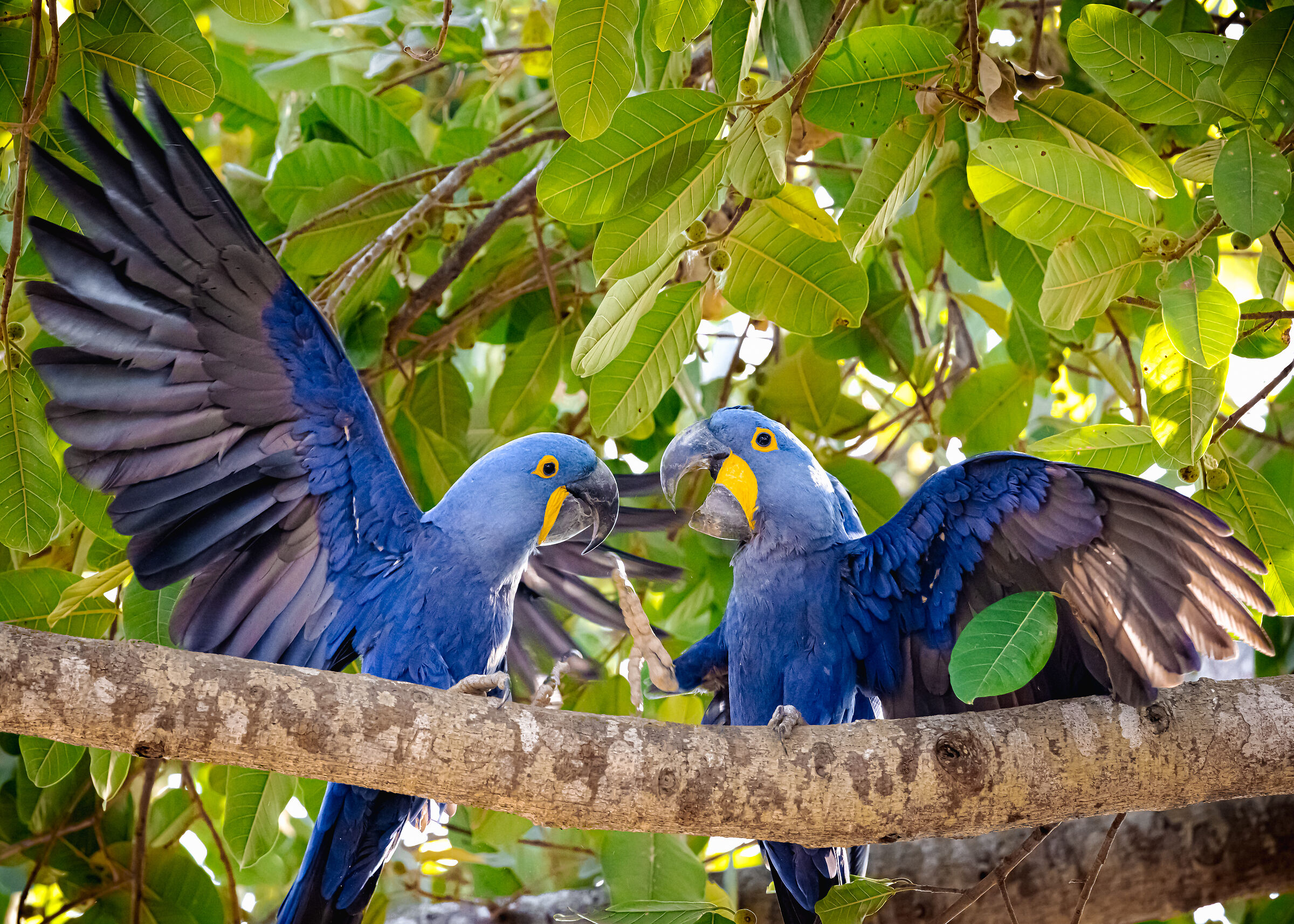 bisticci d'amore | lovers' spat