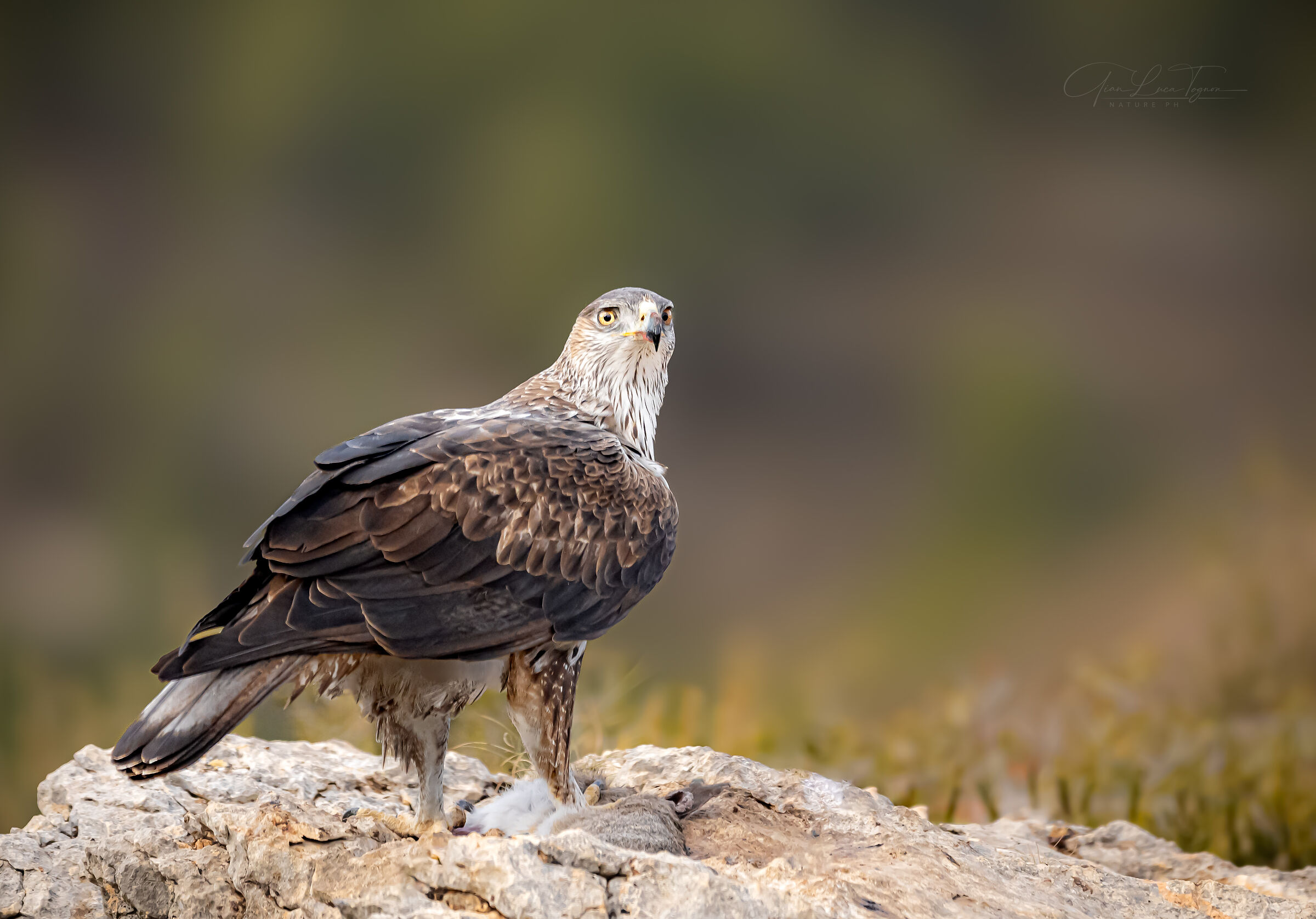 Ci sono sguardi che cadono su di noi