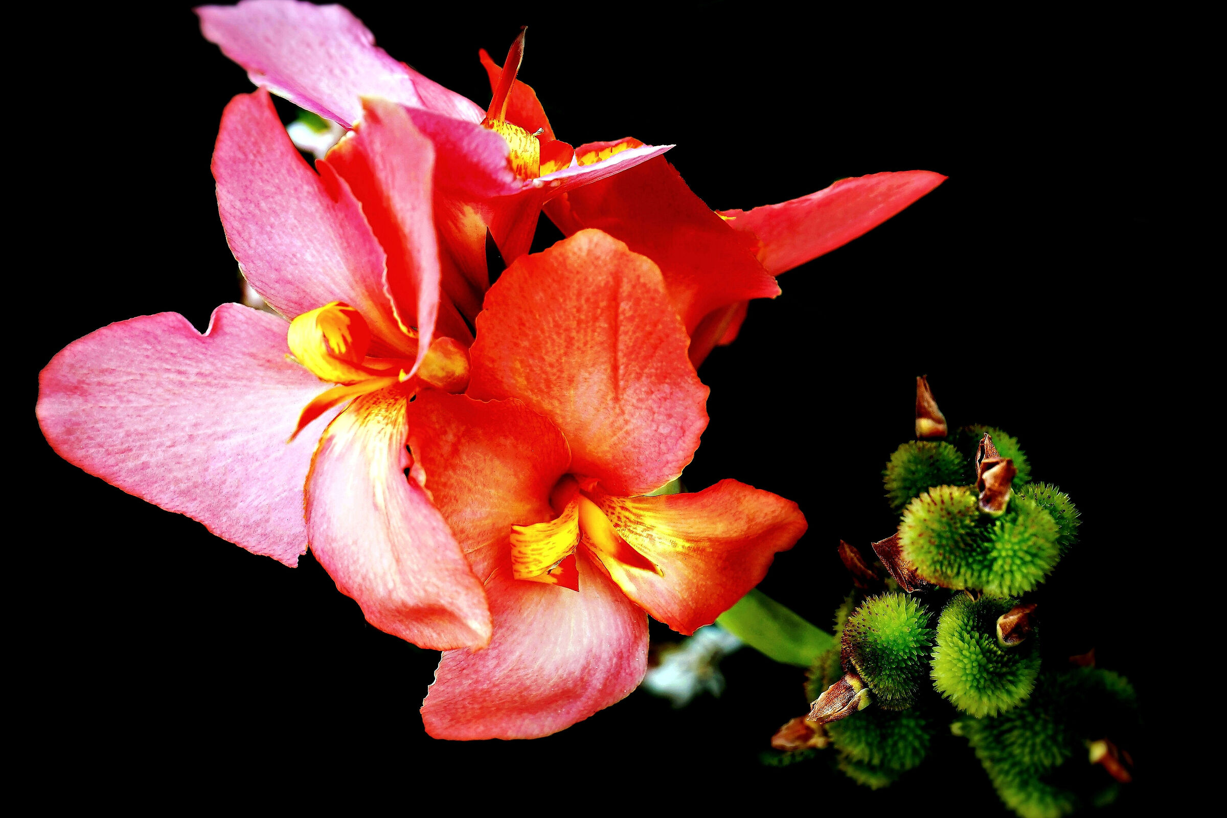 Untitled Photo