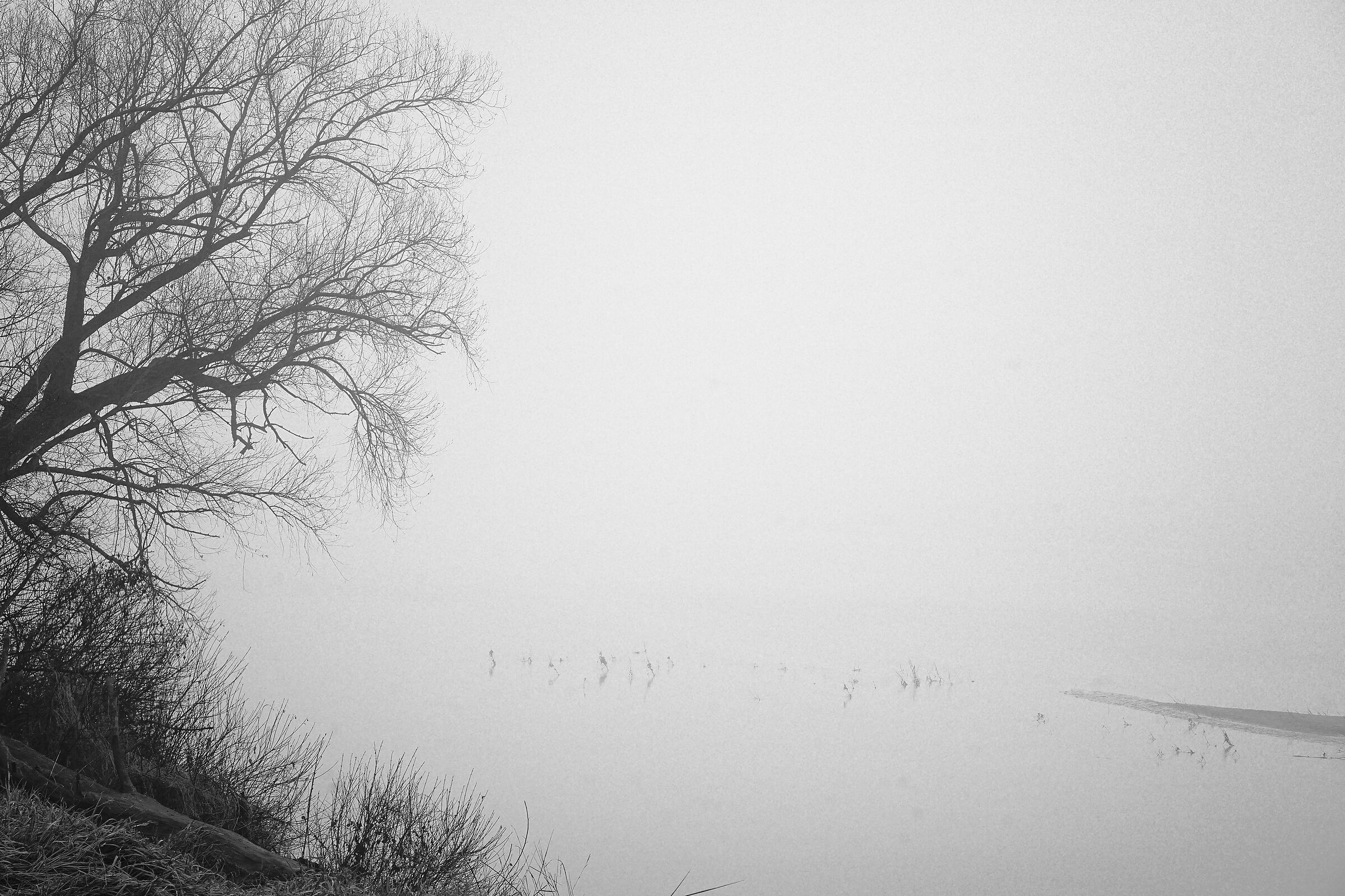 il Po e la sua nebbia