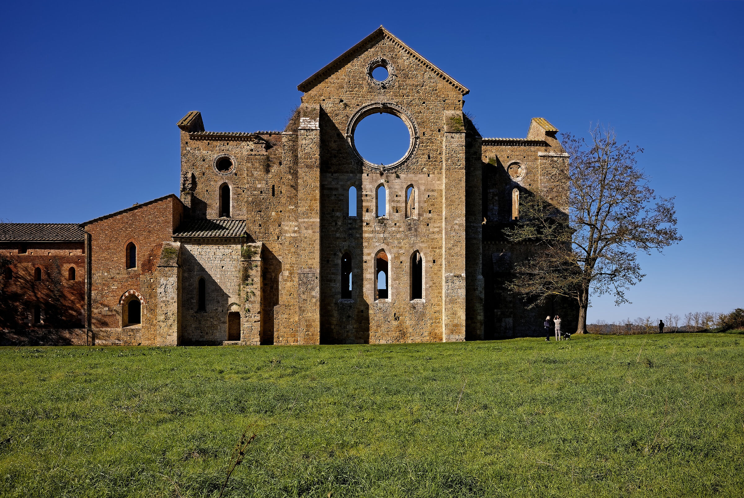 San Galgano, ottobre 2024