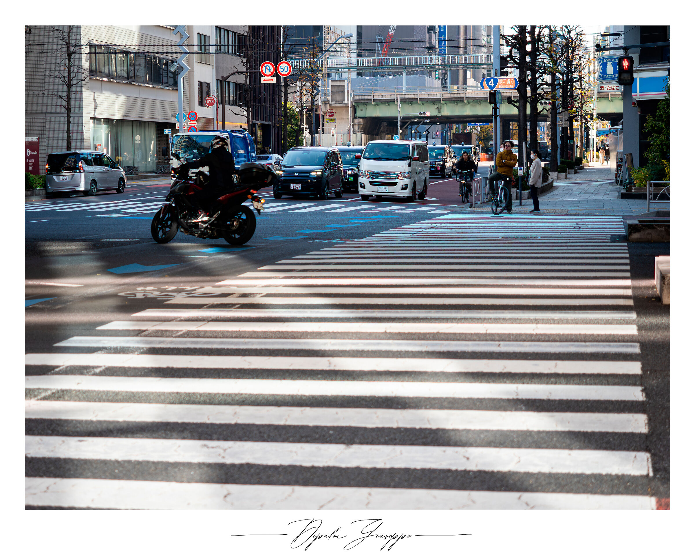 Tokyo crossing