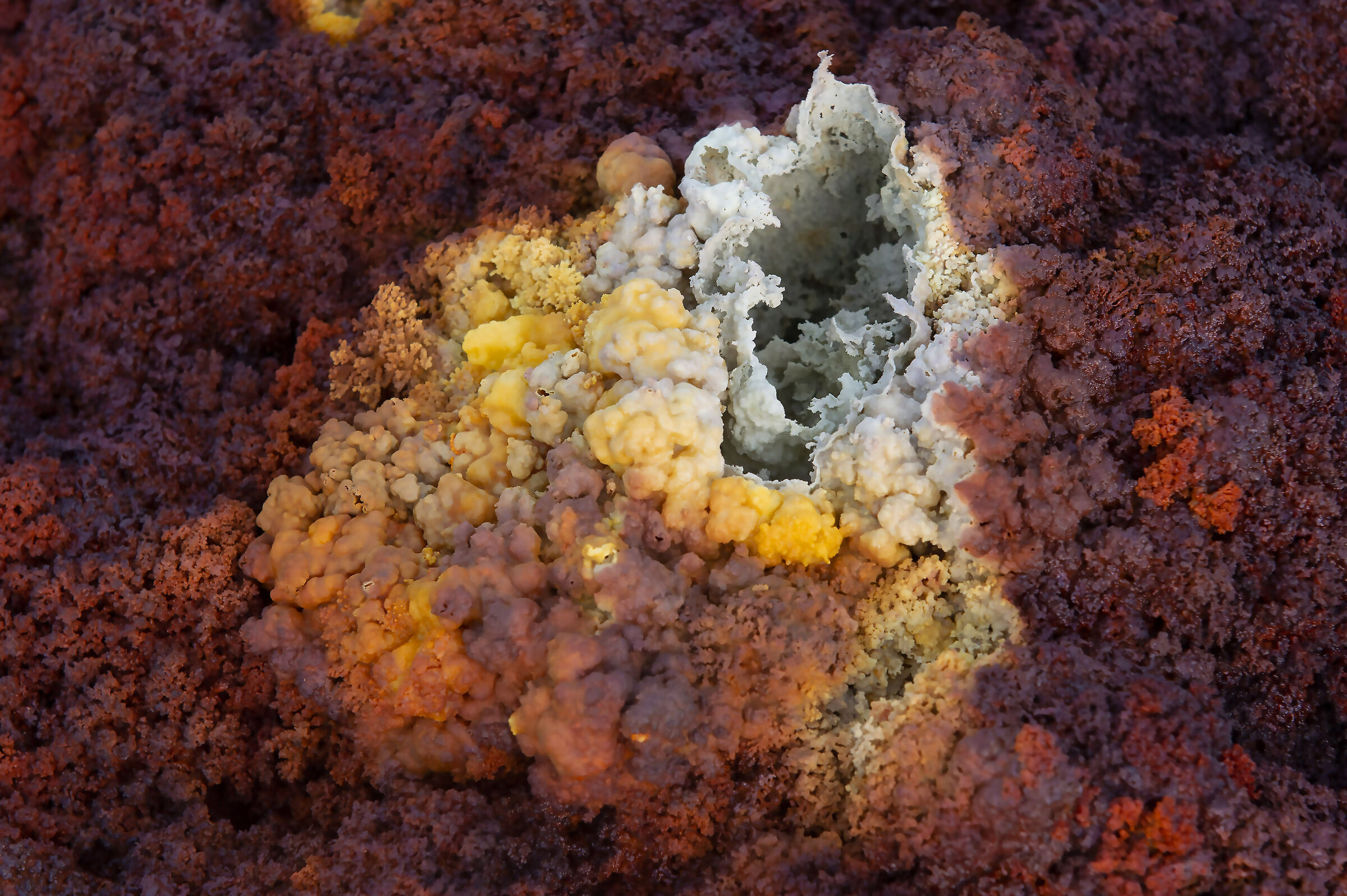 Dancalia Dallol semplicemente stupenda