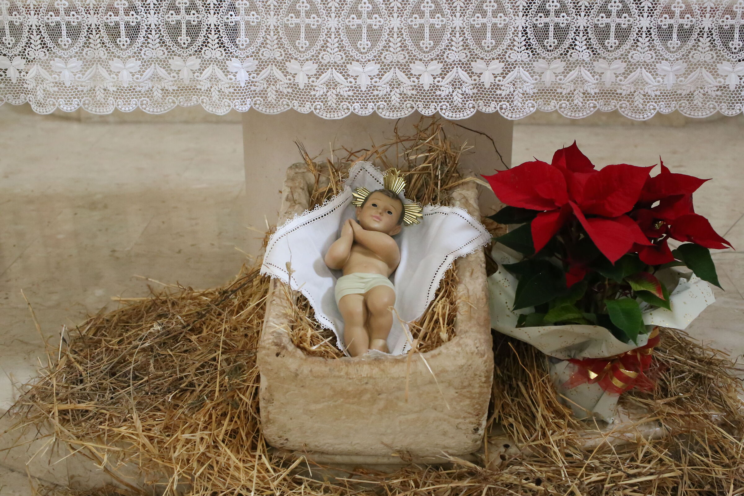 Ei, @" ISO 12 Thousand 800 " Milvus Z. 50, 1.4- Canon 6 D