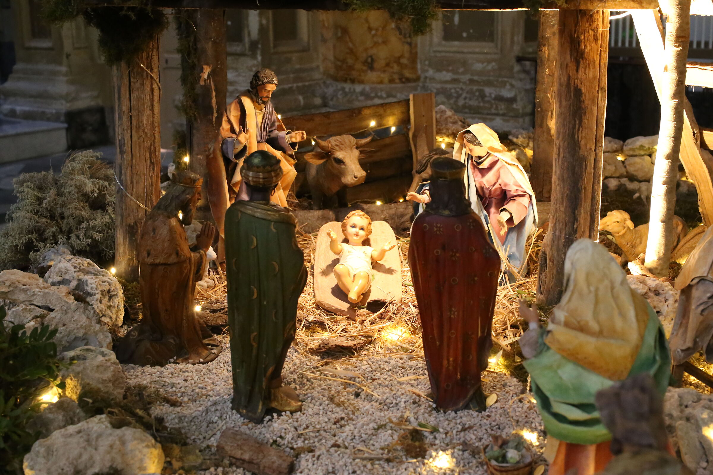 Ei,@" ISO 12 Thousand 800 " Milvus Zeiss 50, 1.4- Canon 6D