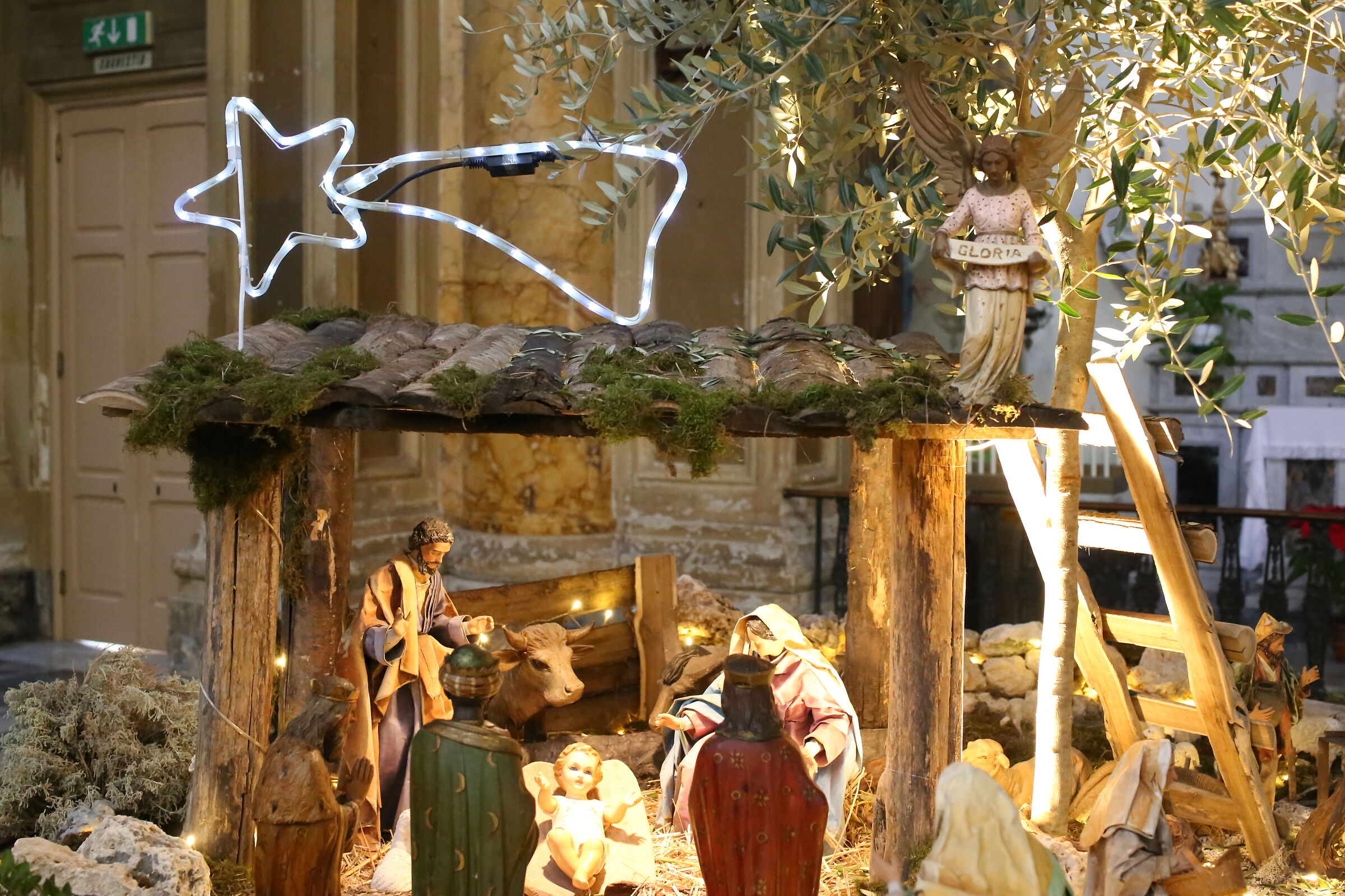 @" ISO 12 Thousand 800 " Milvus Zeiss 50, 1.4- Canon 6 D