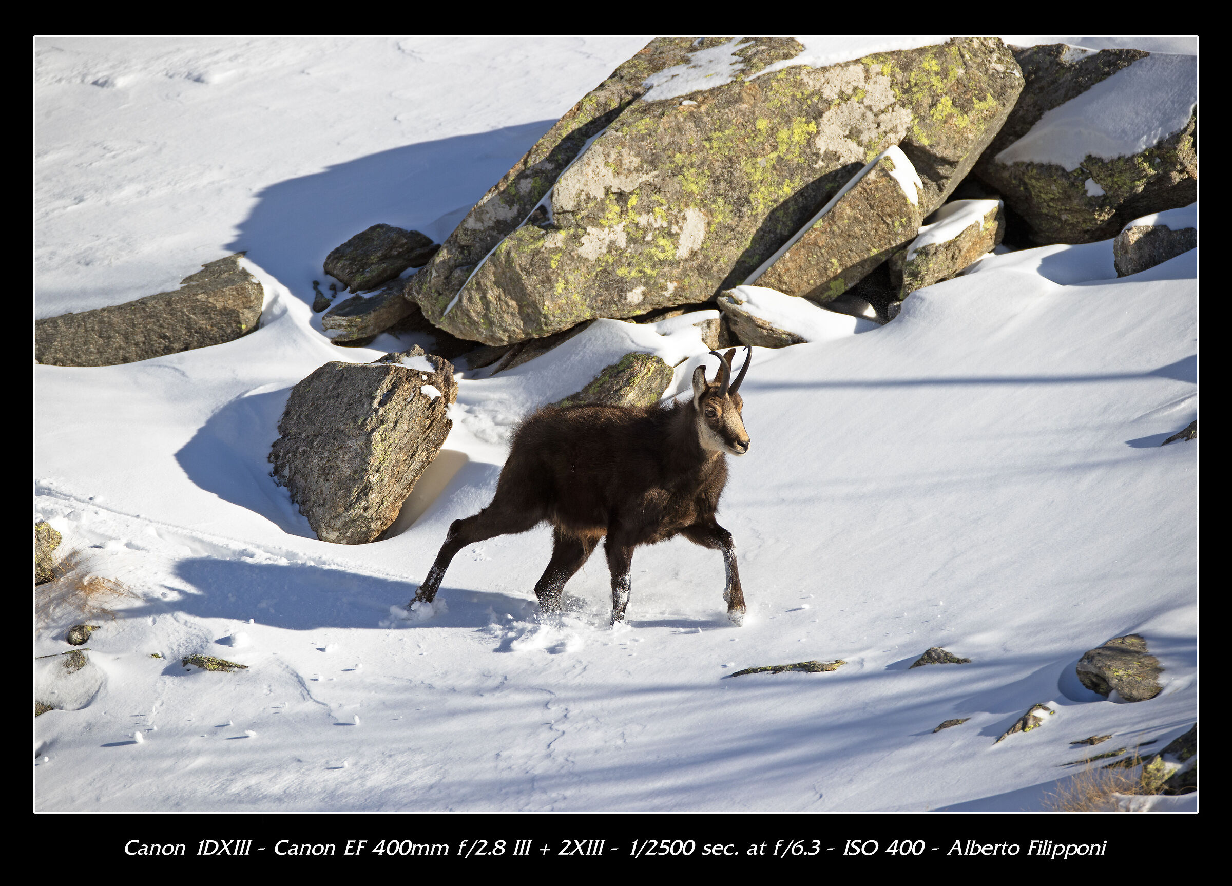 Avanzando nella neve
