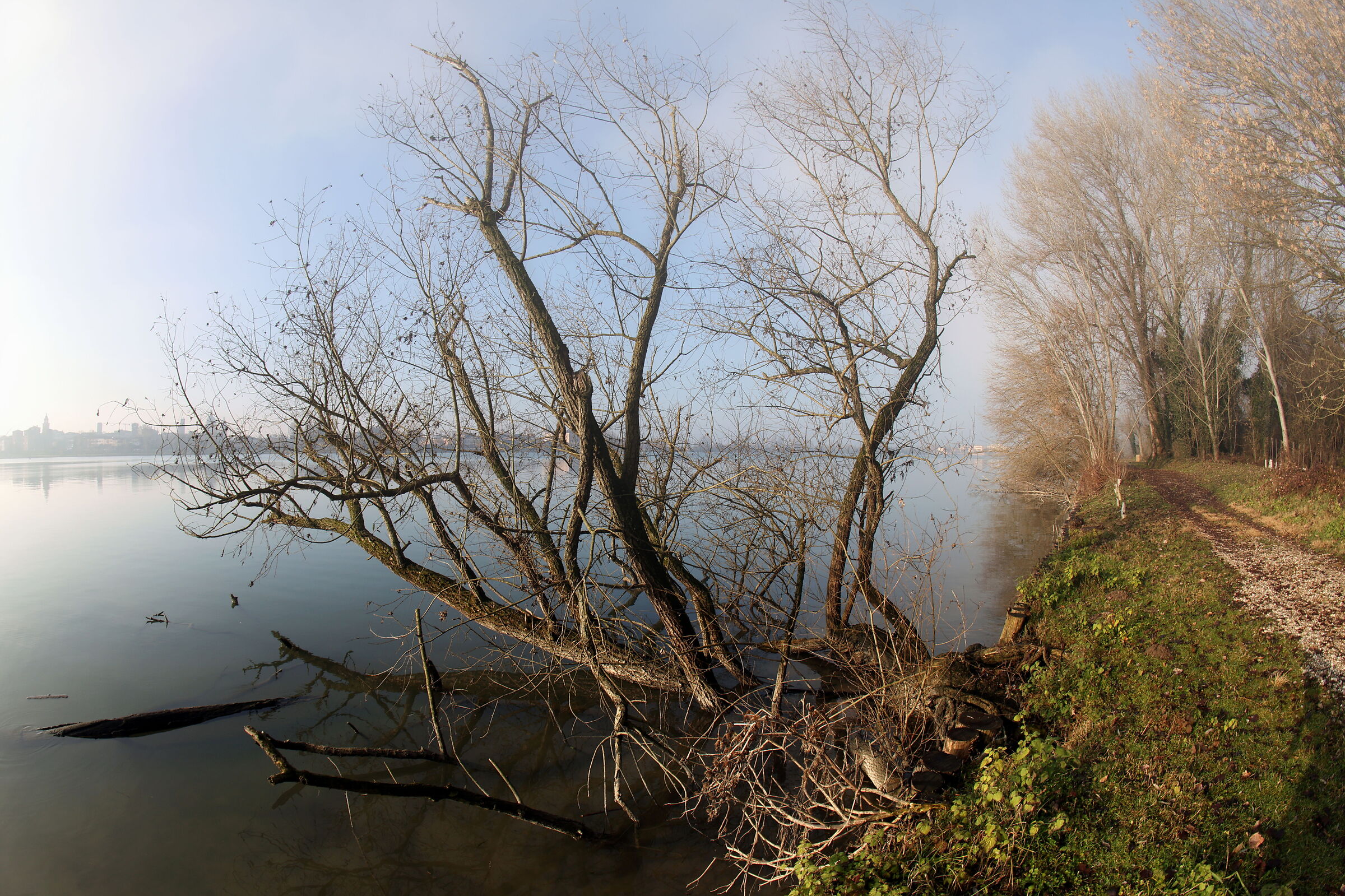 Tra la nebbia e il sole.