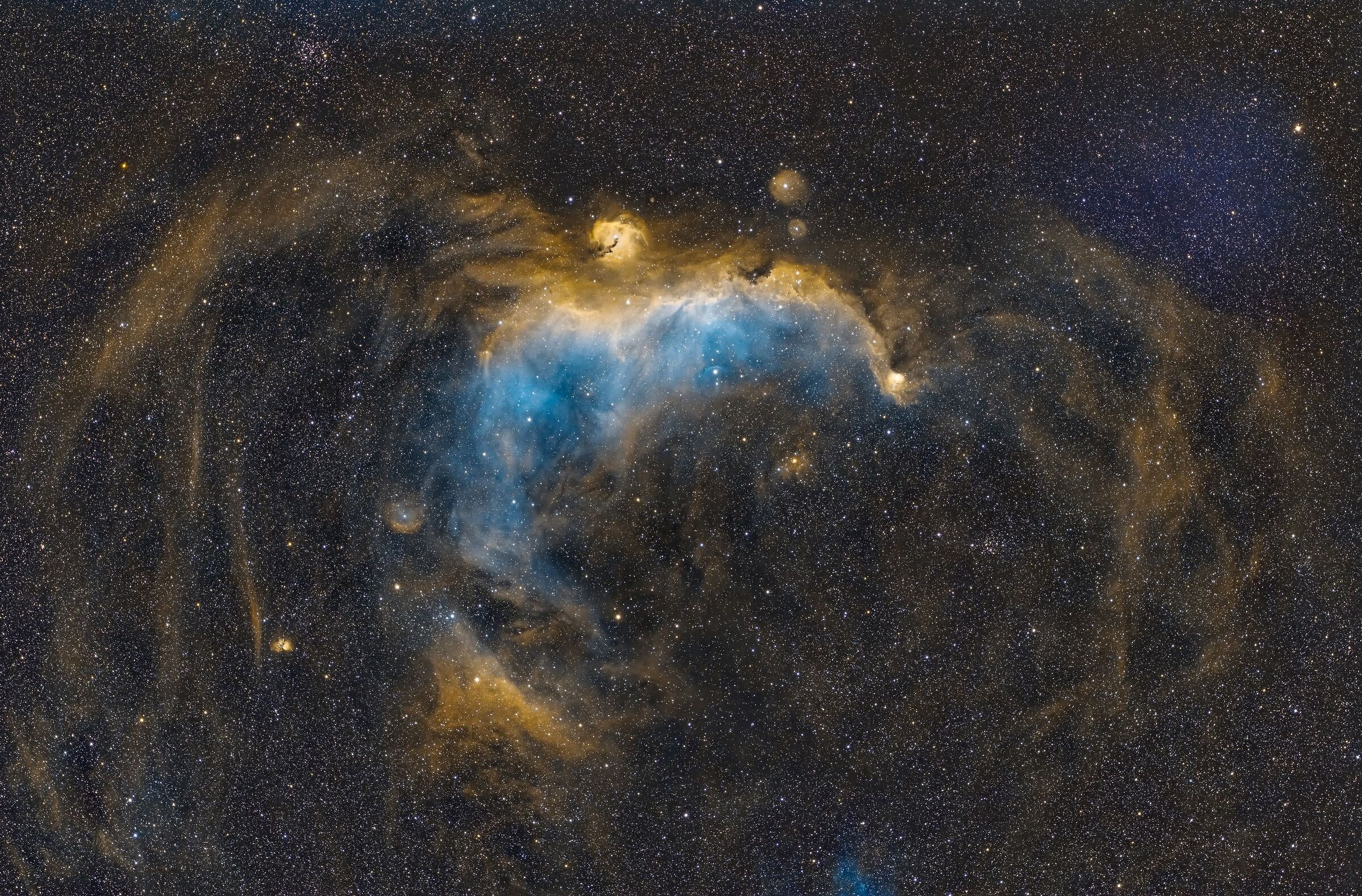 Seagull Nebula