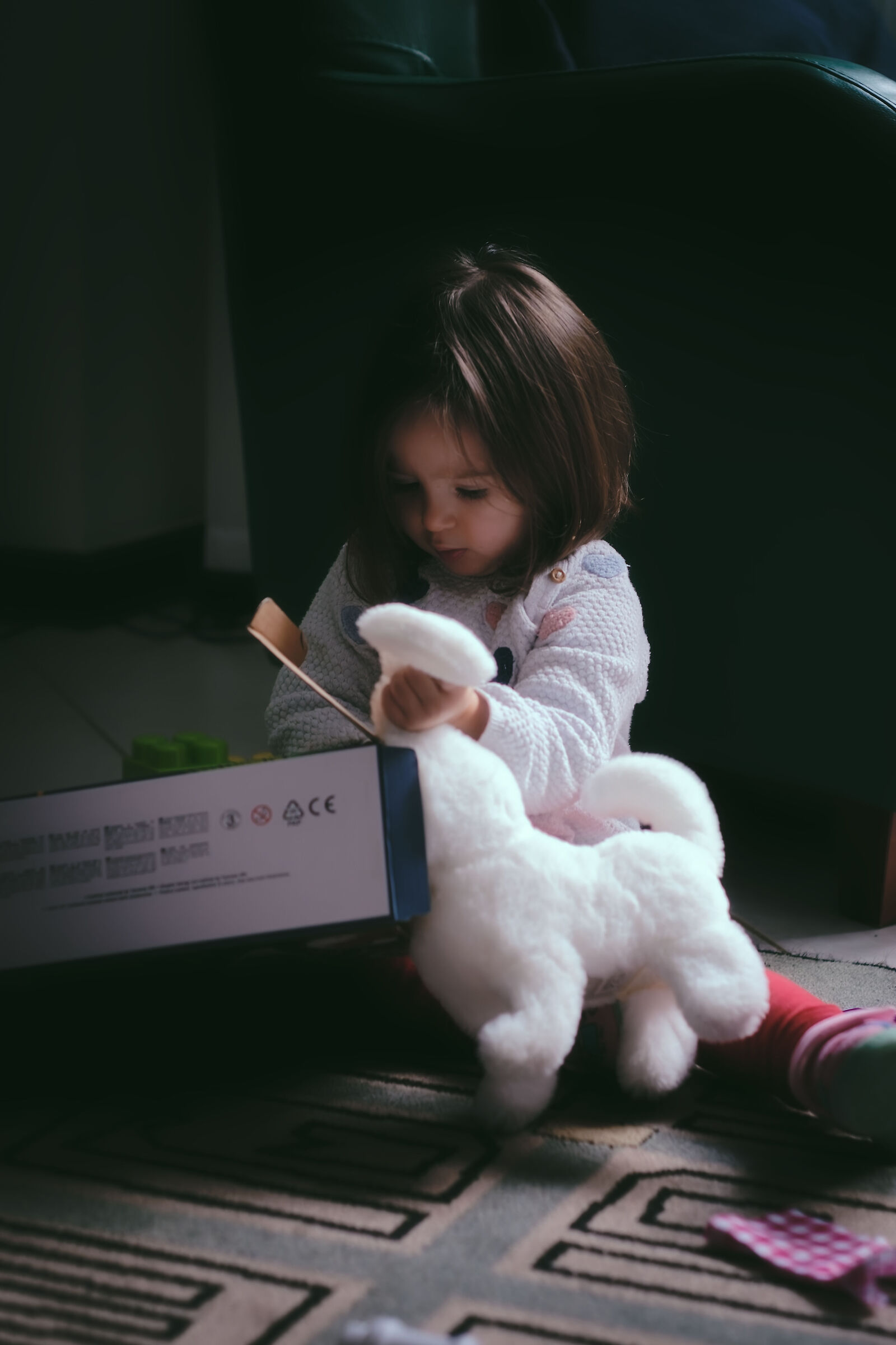 The discarding of Christmas gifts