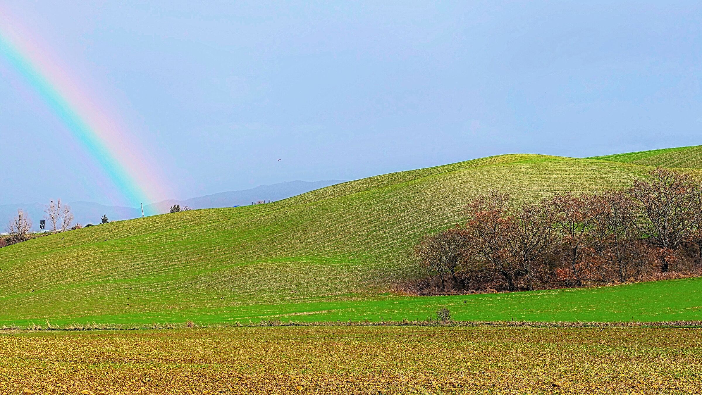 Dintorni di Montalcino