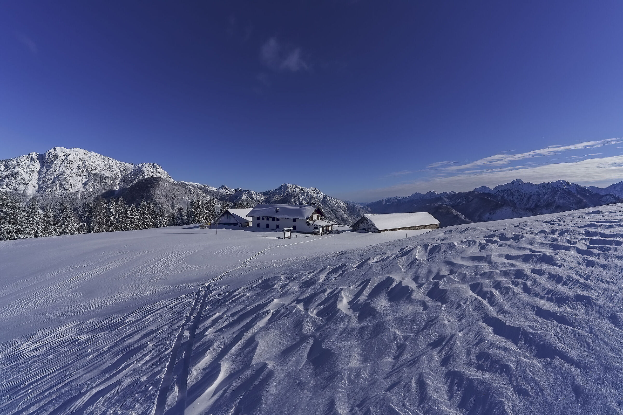 Malga Glazzat alpi Carniche