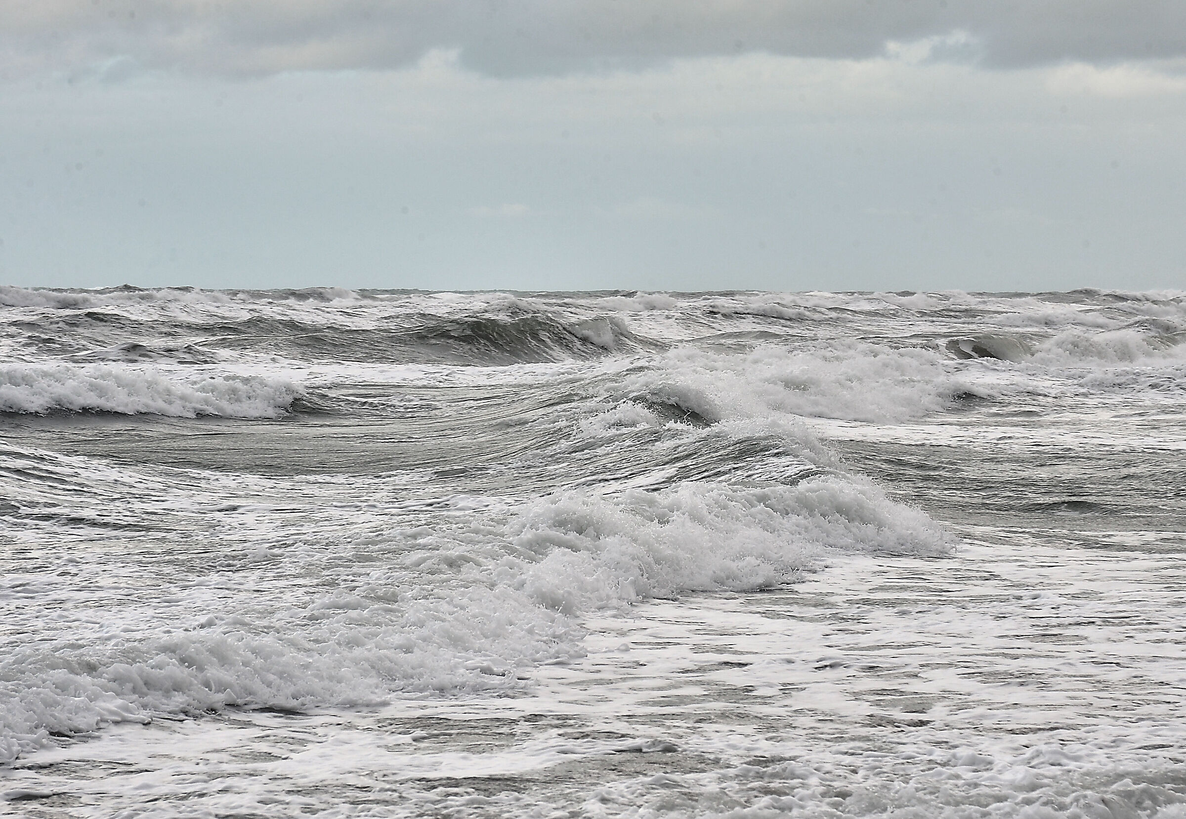 simply sea