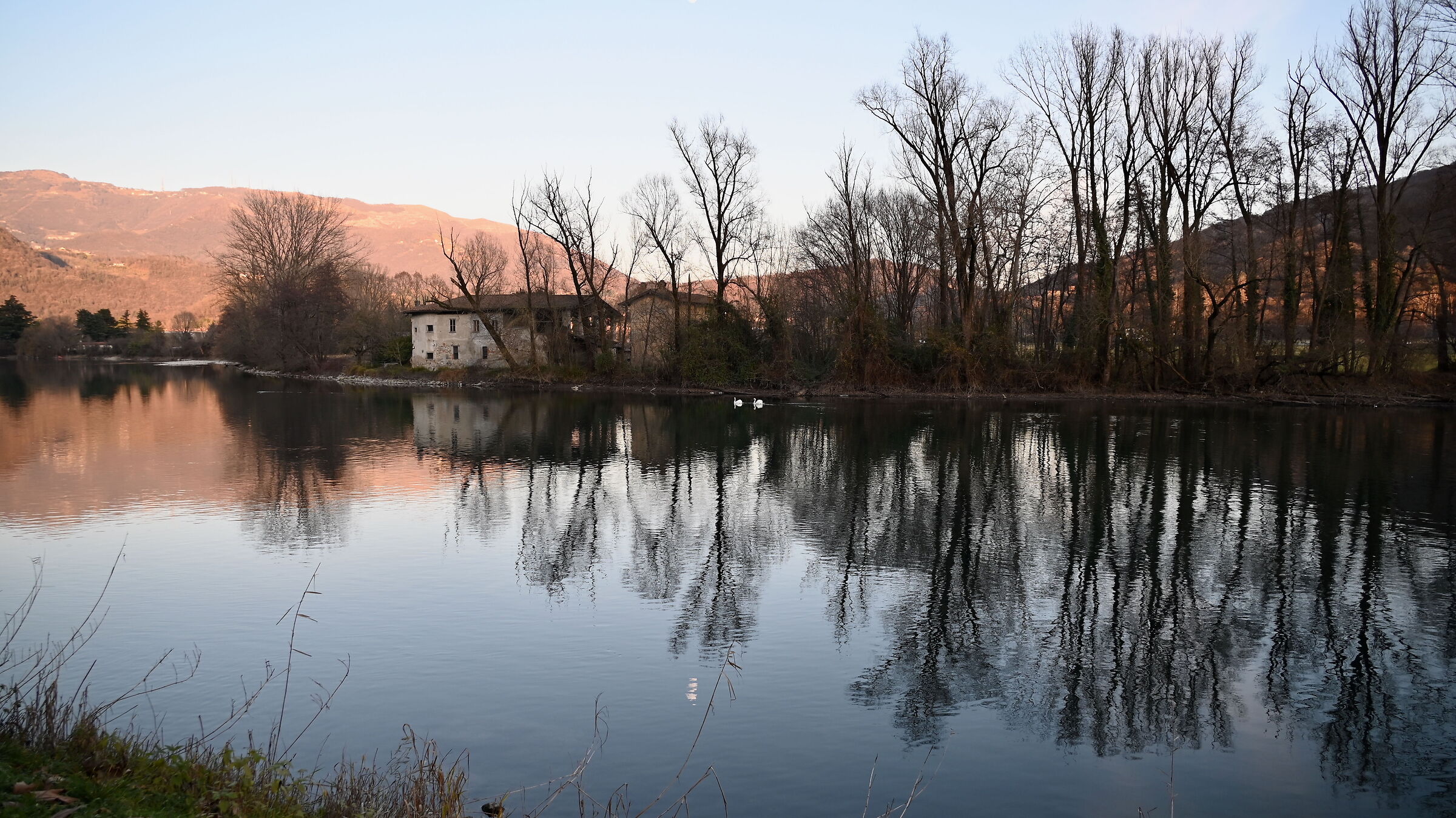 Farmhouse in Brivio with swans