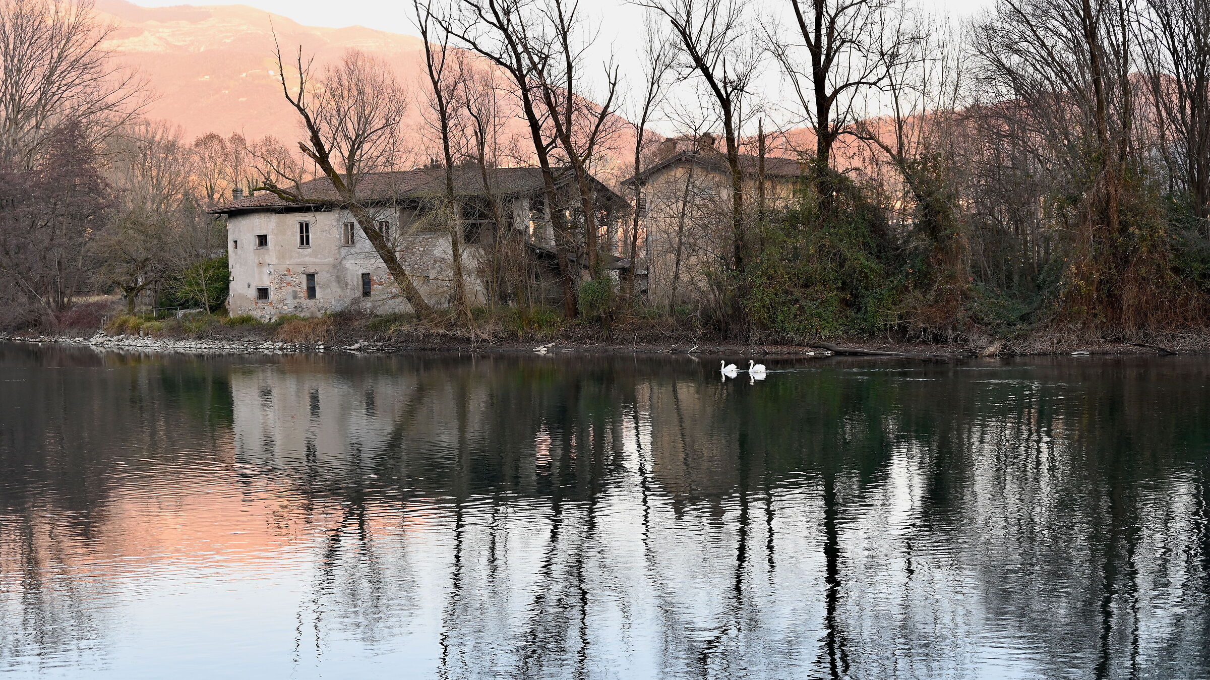 Casolare a Brivio con cigni 2