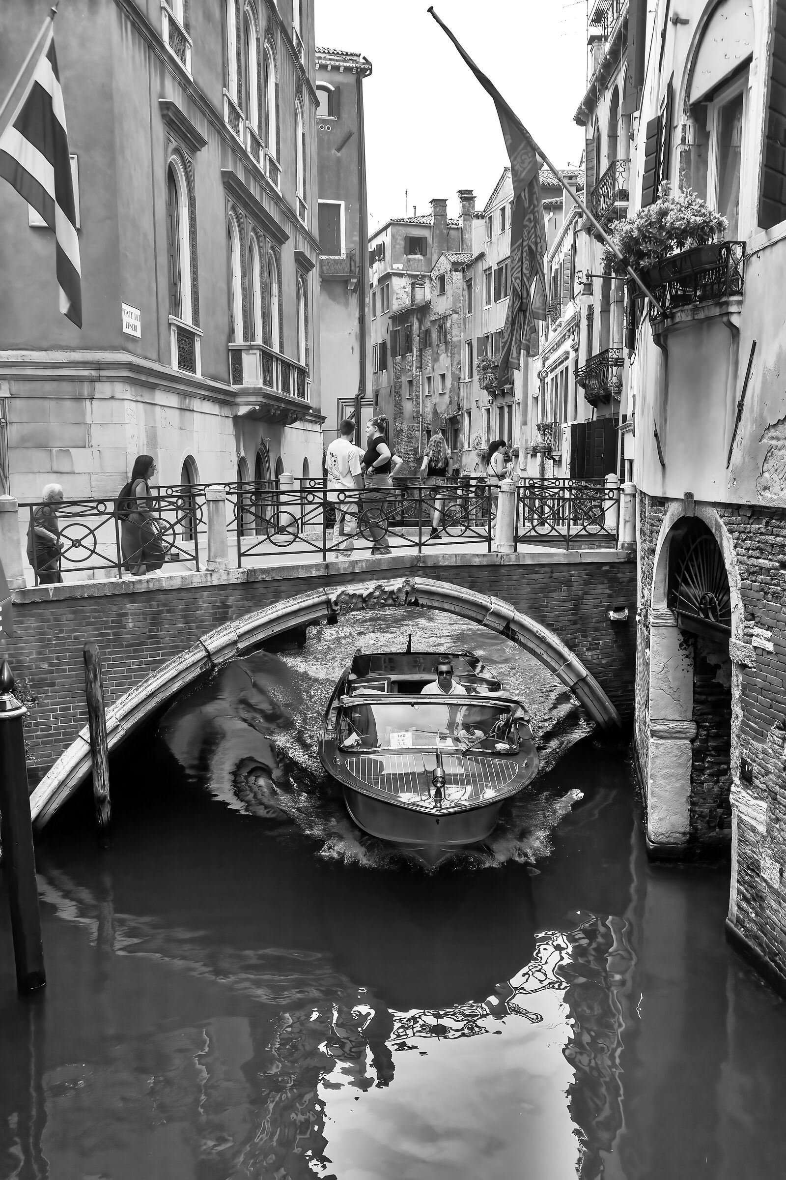 Cartoline da Venezia b/n... (11 foto)