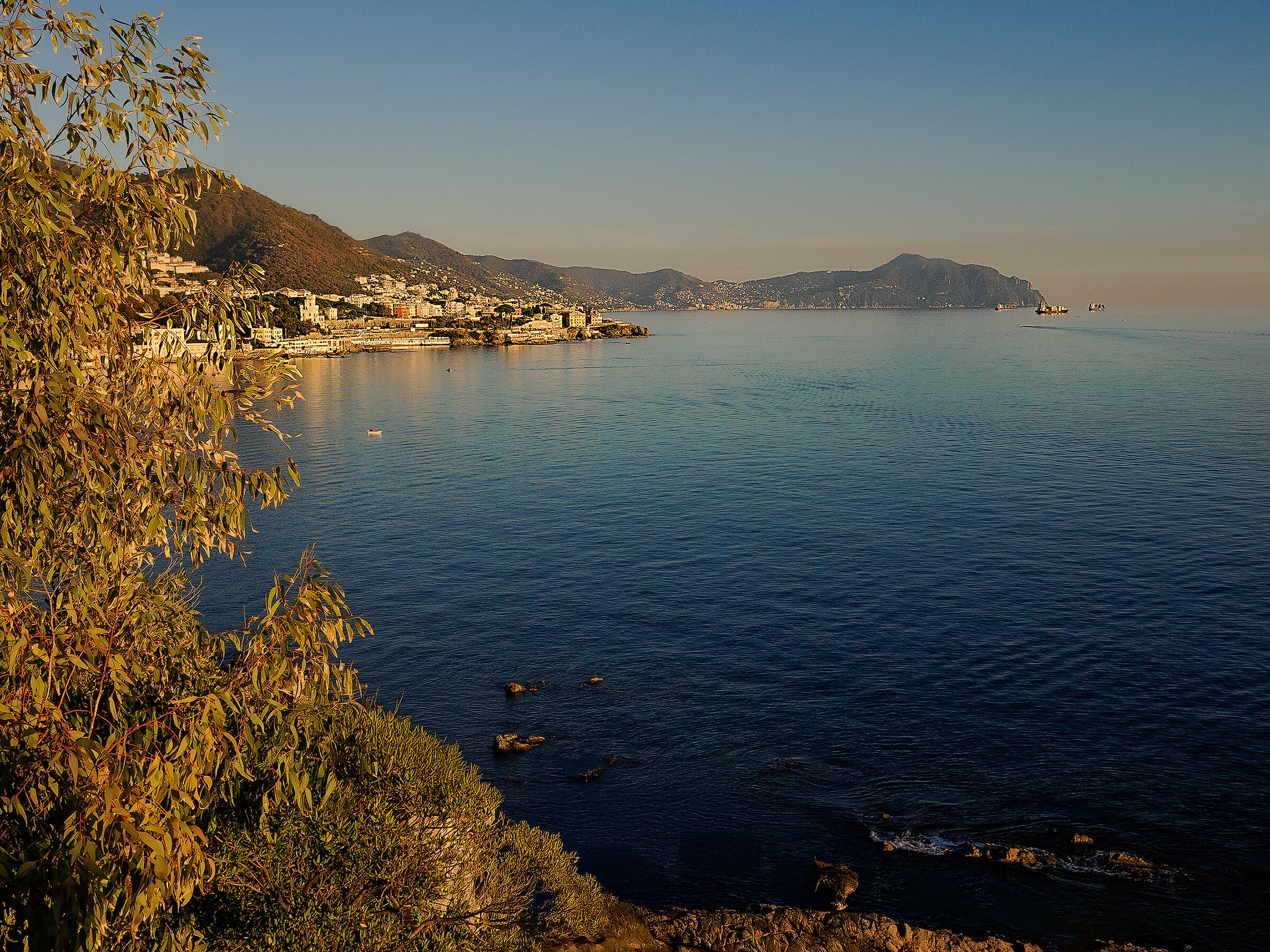 Panorama