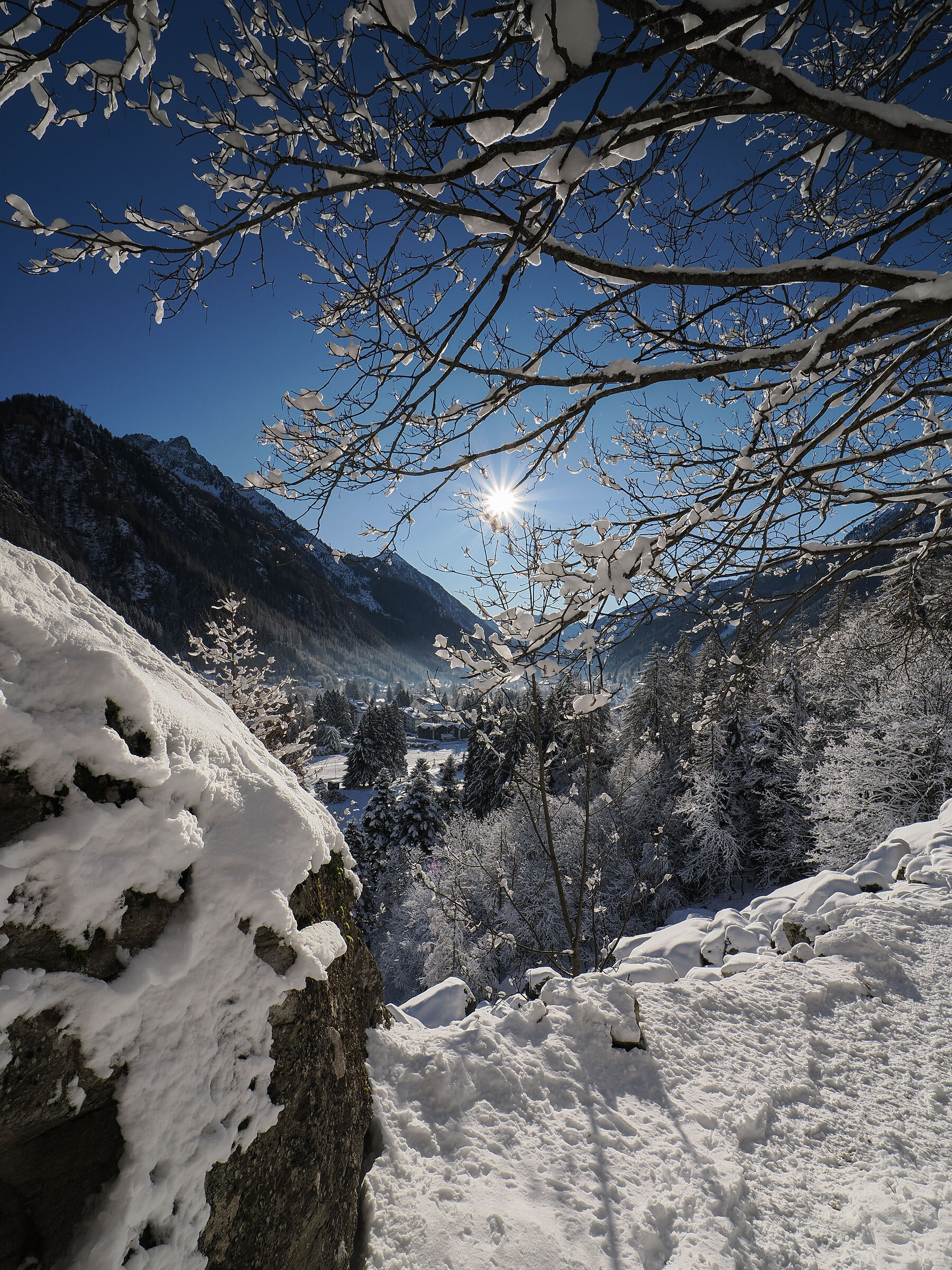 Gressoney Valley Aosta Valley
