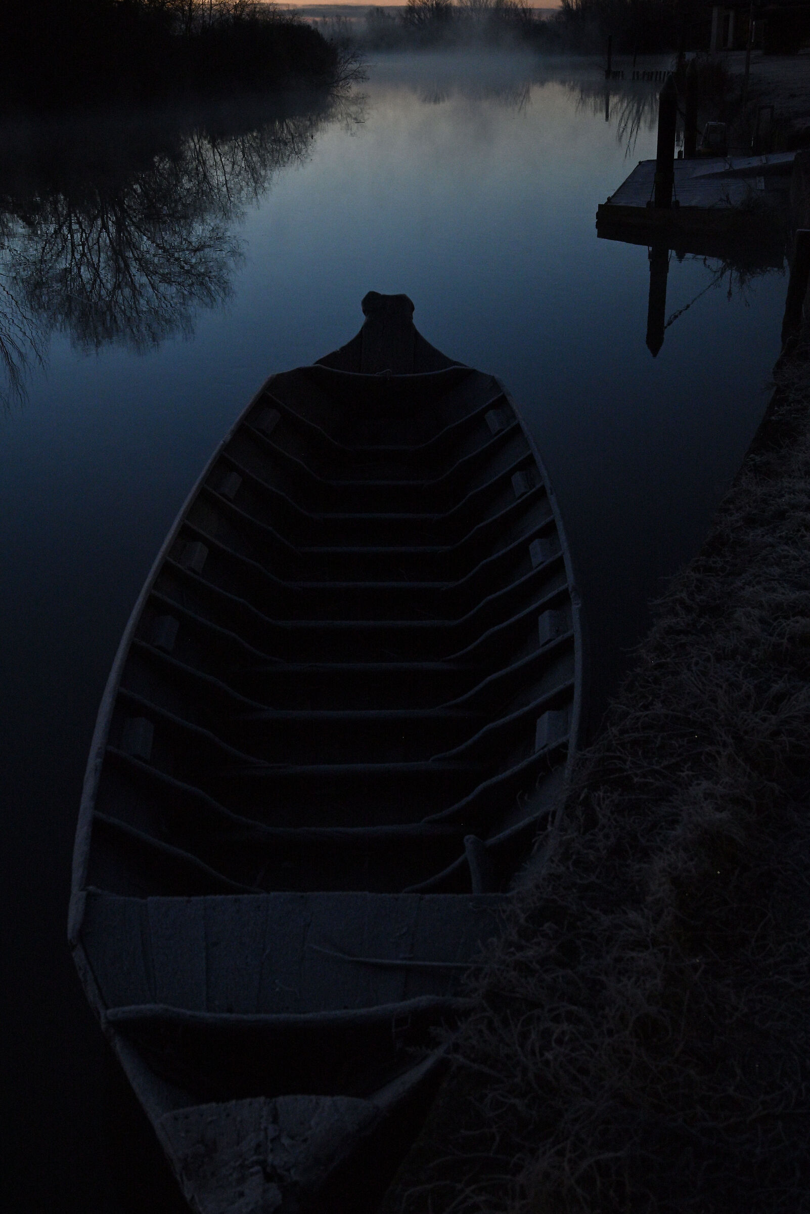 Untitled Photo