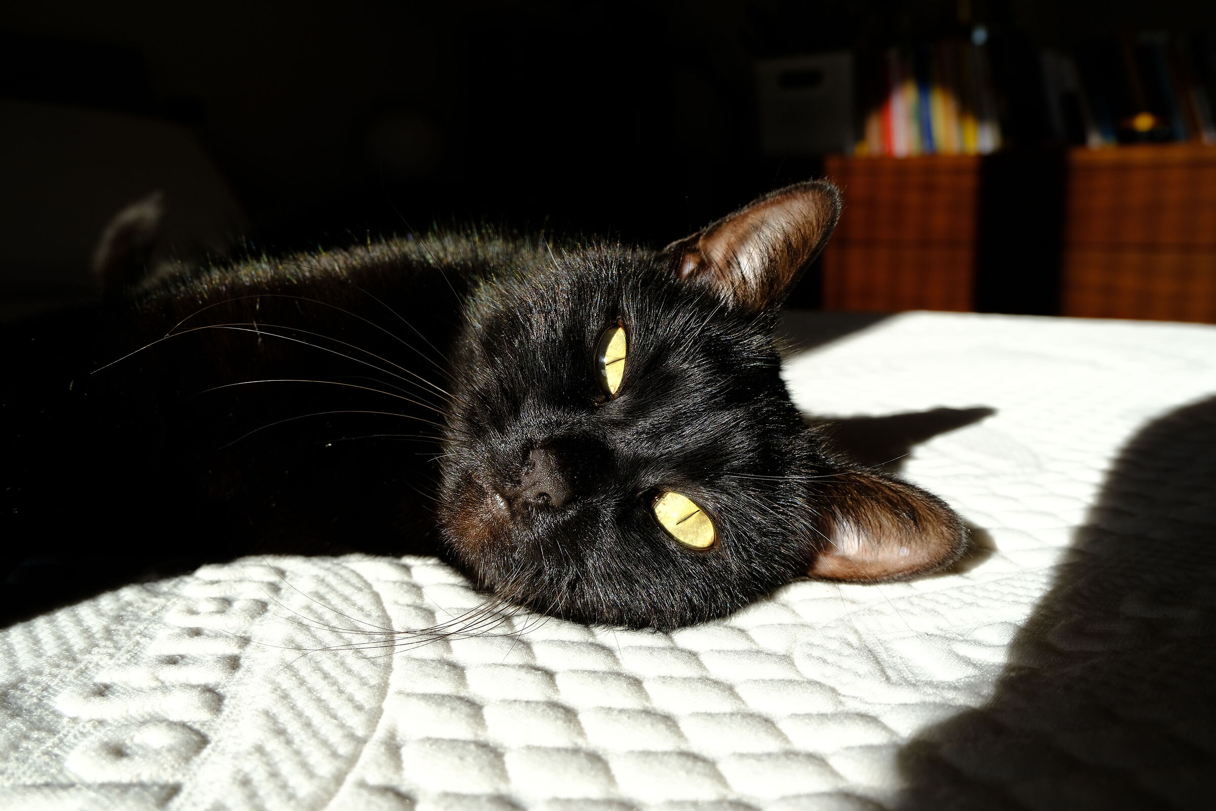 Sienna.