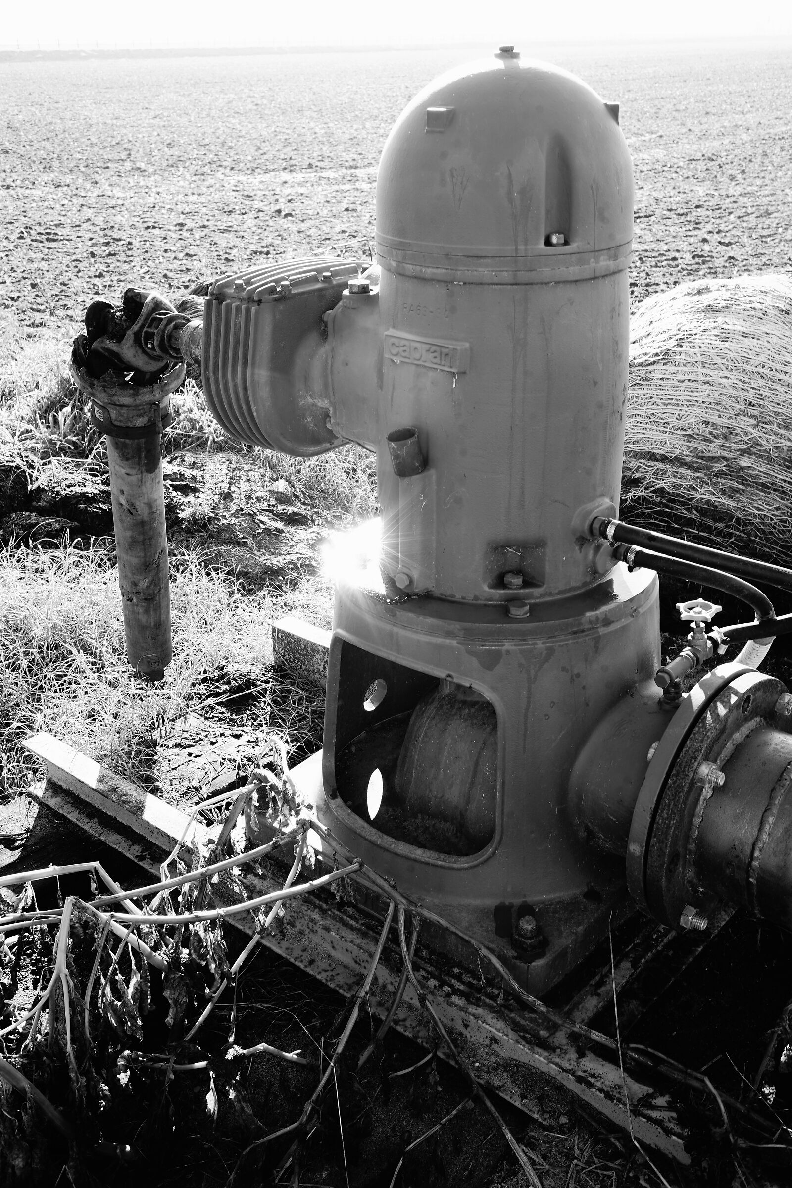 c1-p8 (versione originale)