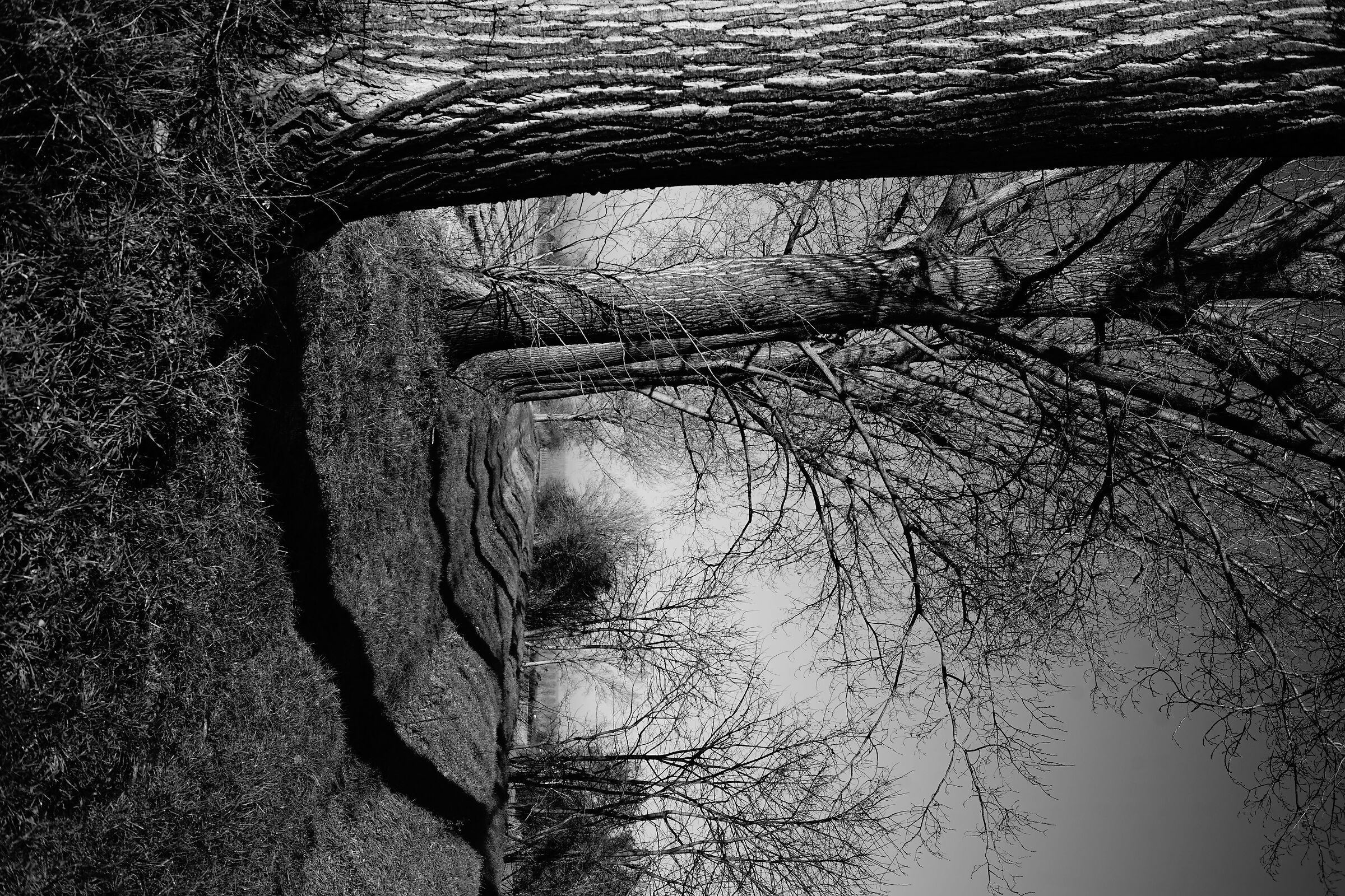 ombre lunghe del mattino