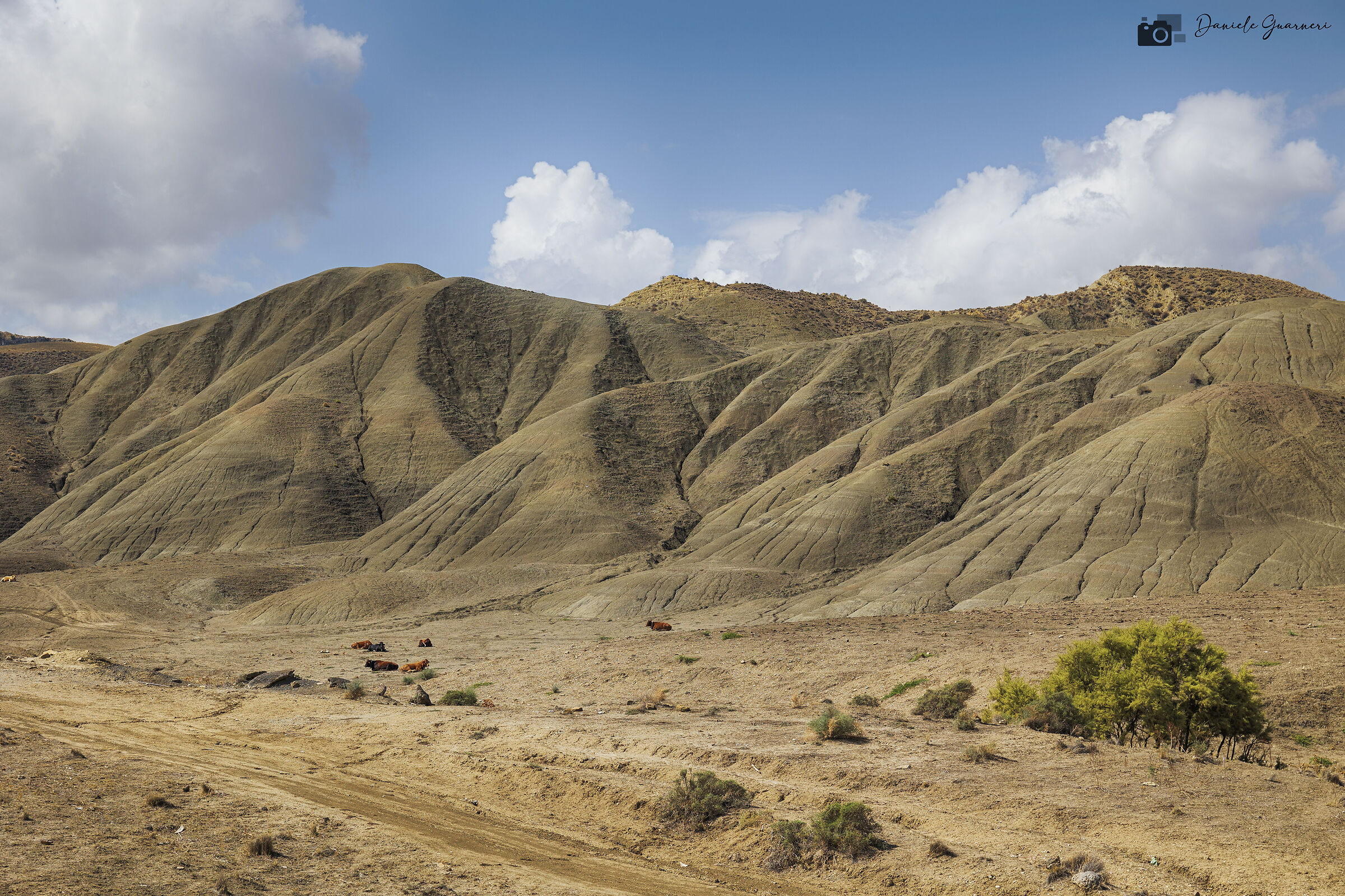 Calanchi del Cannizzola, Centuripe