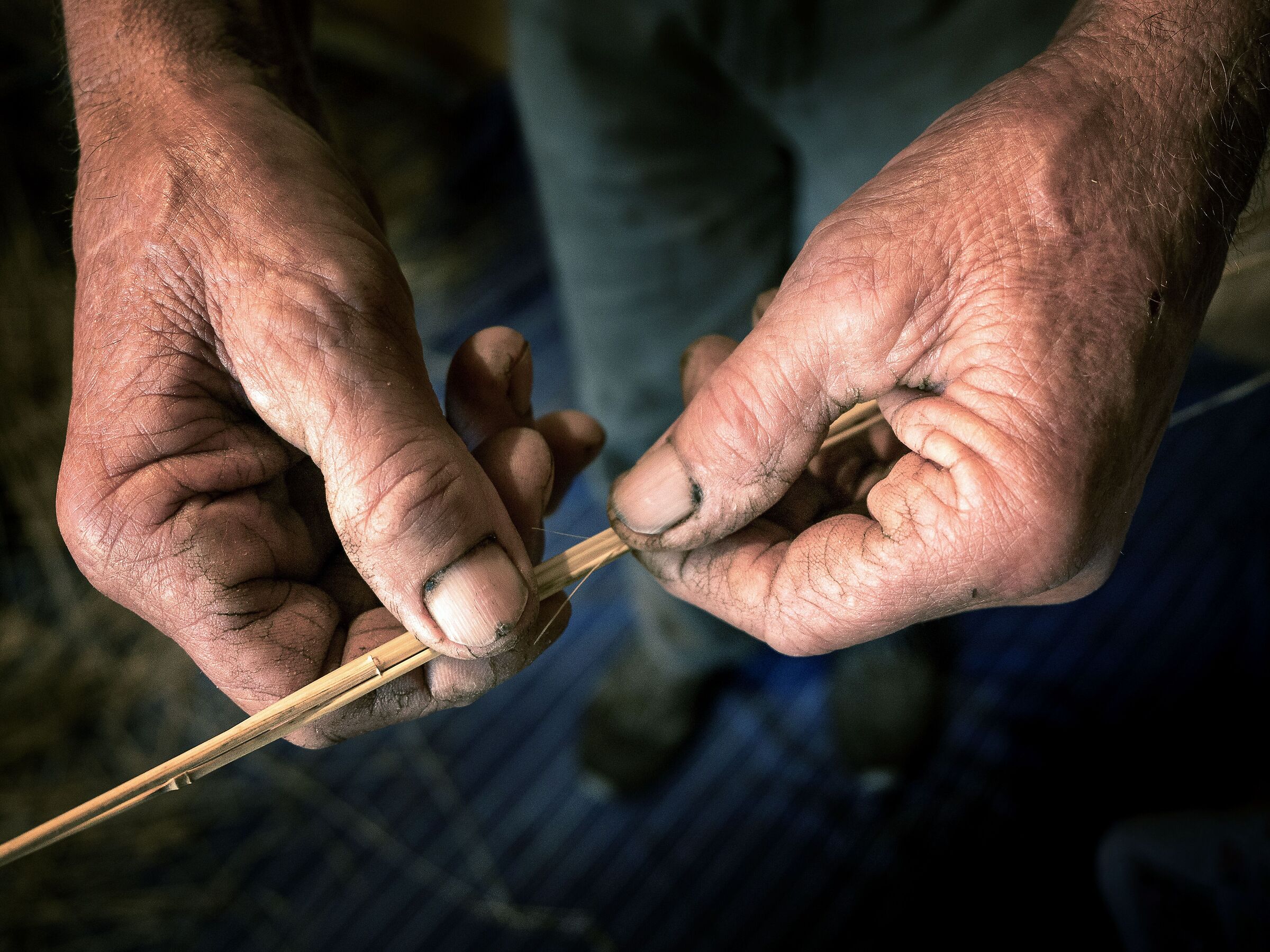 le mani di un contadino