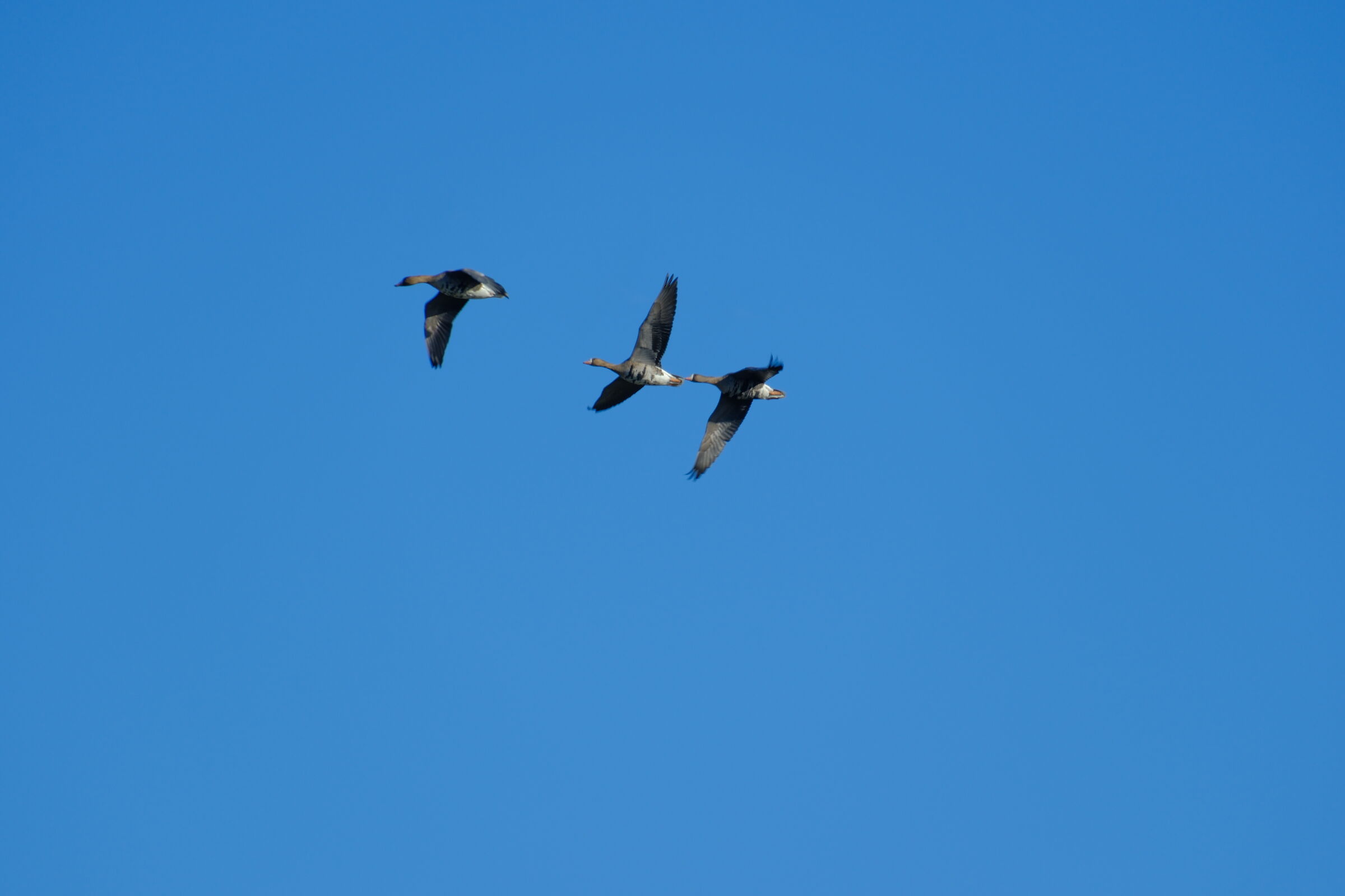 Oche con XT5 1\250. F8. 125 ISO