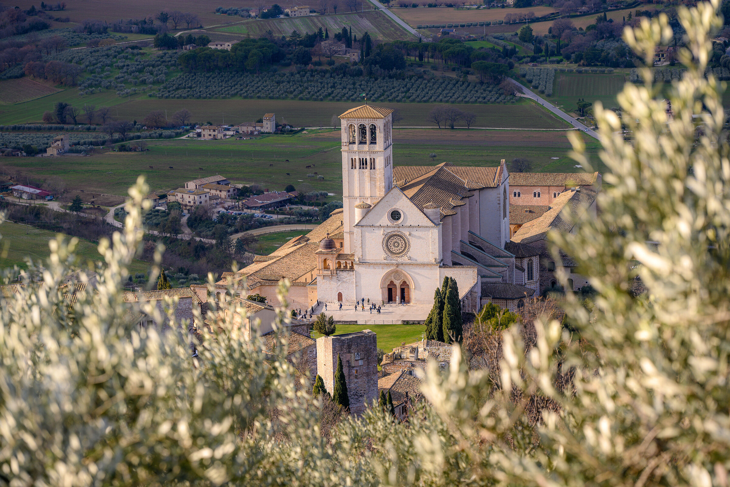 Assisi: Basilica of St. Francis