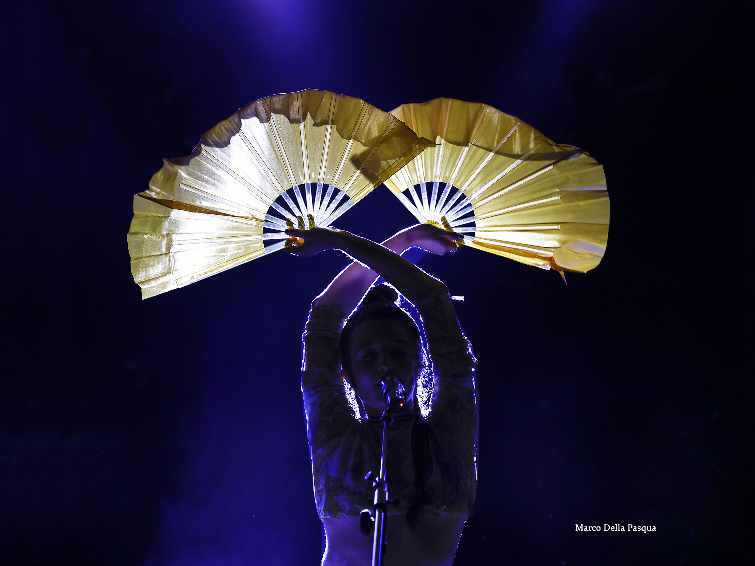 The evening on stage -03