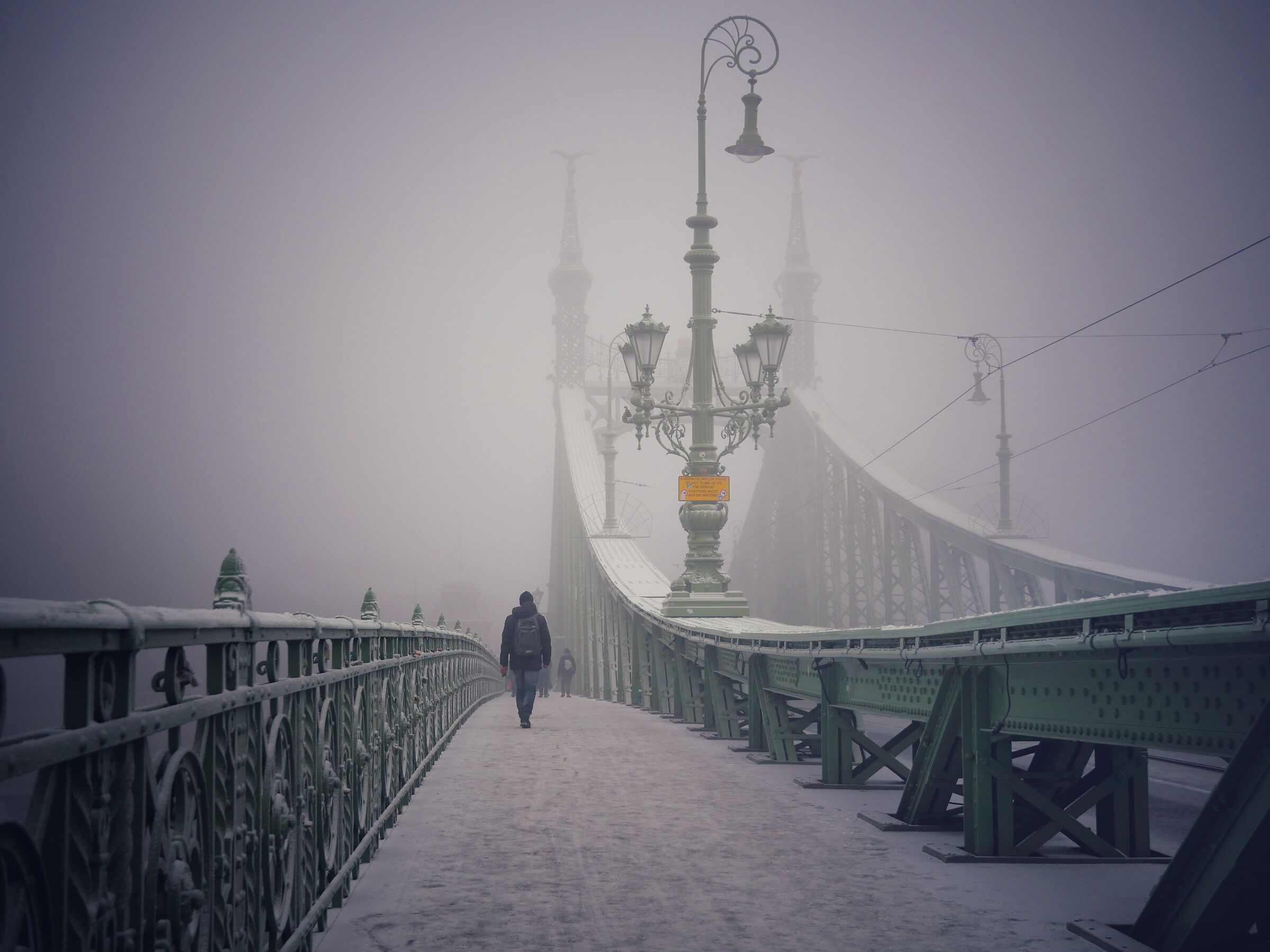 Ponte della Libertà, Budapest