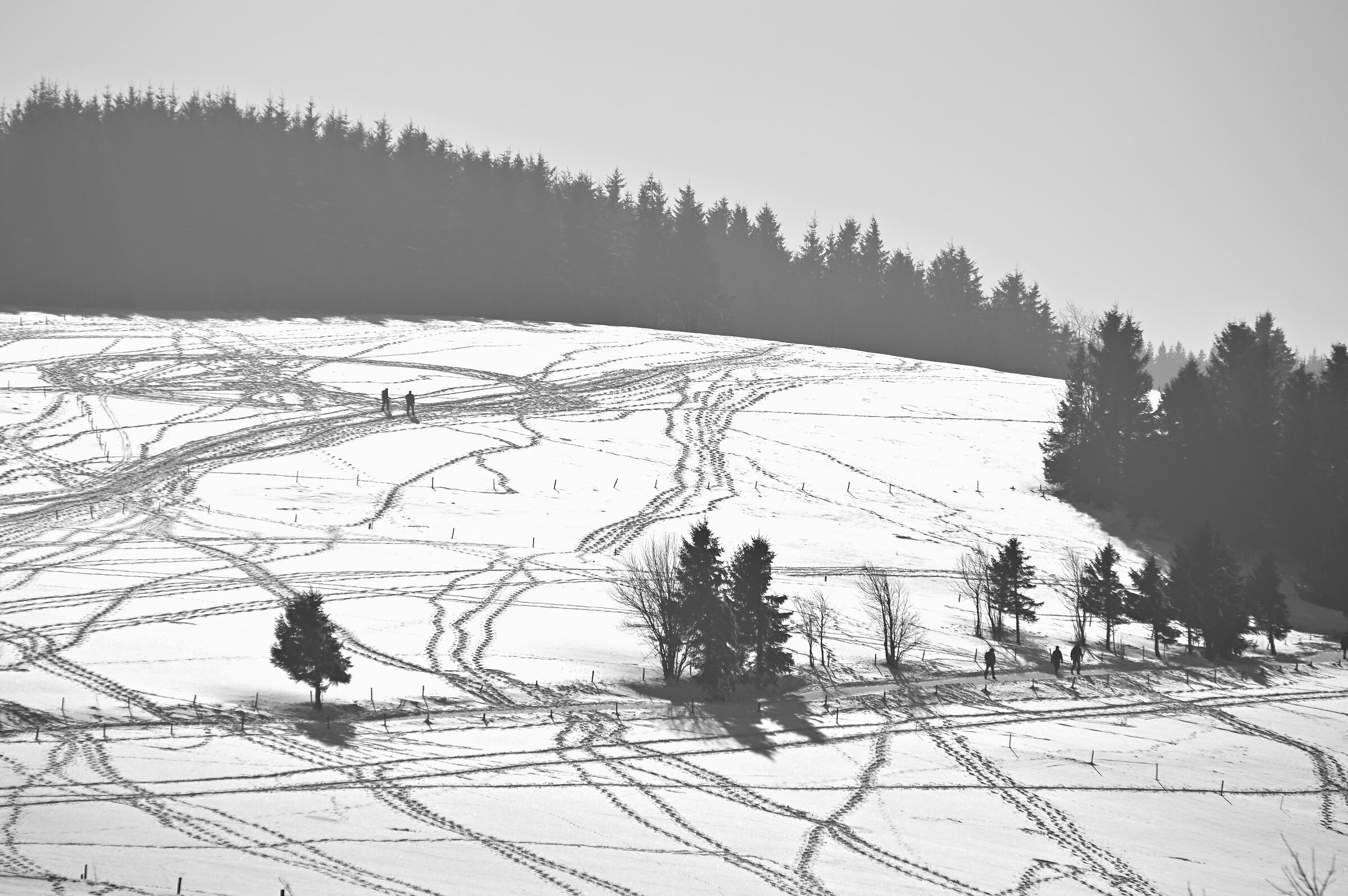 Tracks