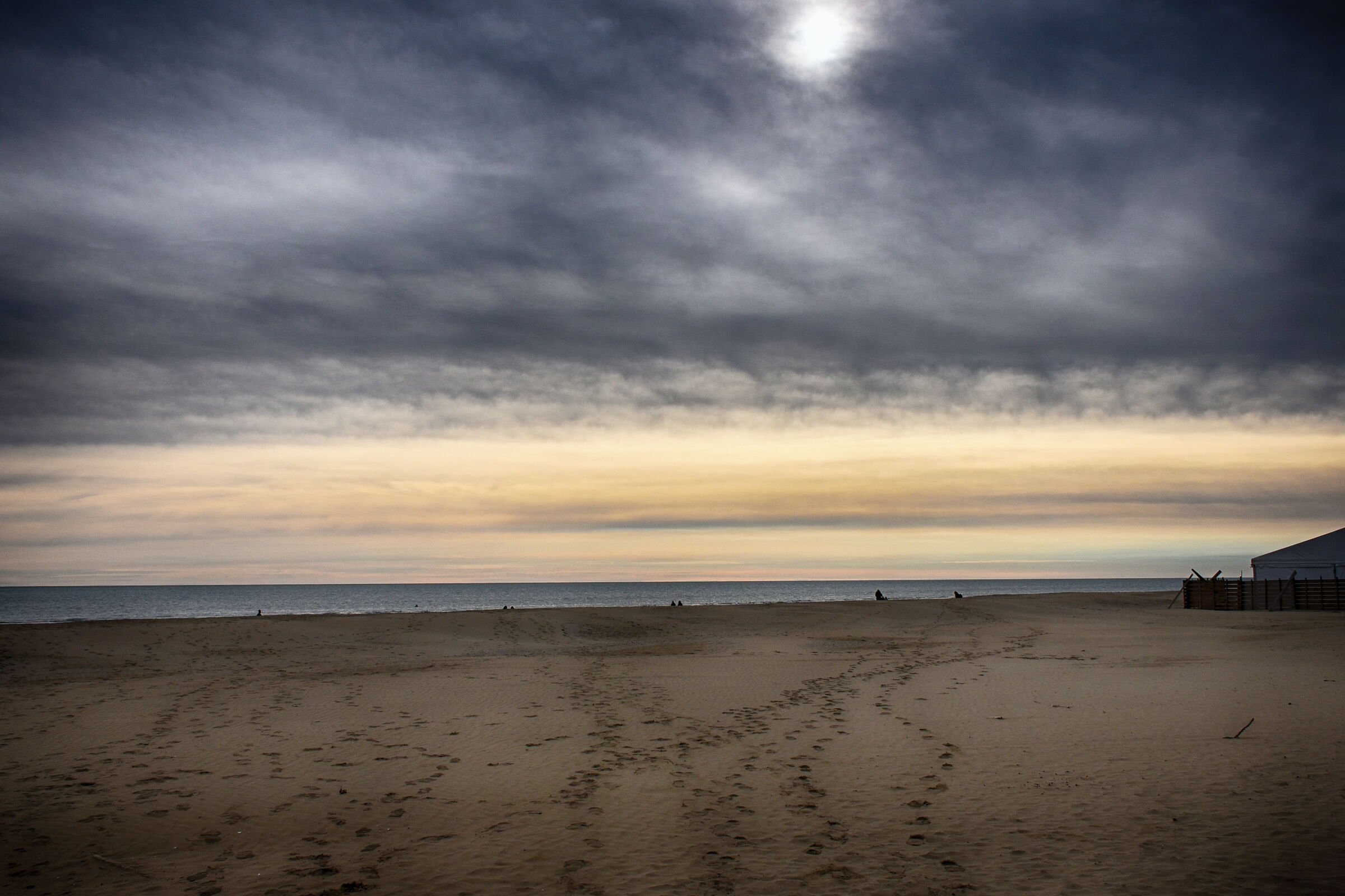 Untitled Photo