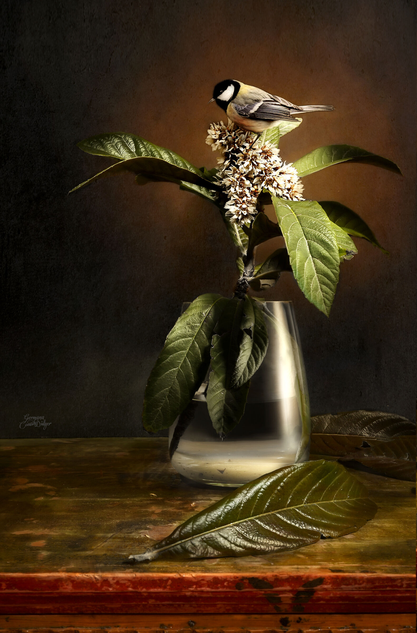 Light painting Loquat and